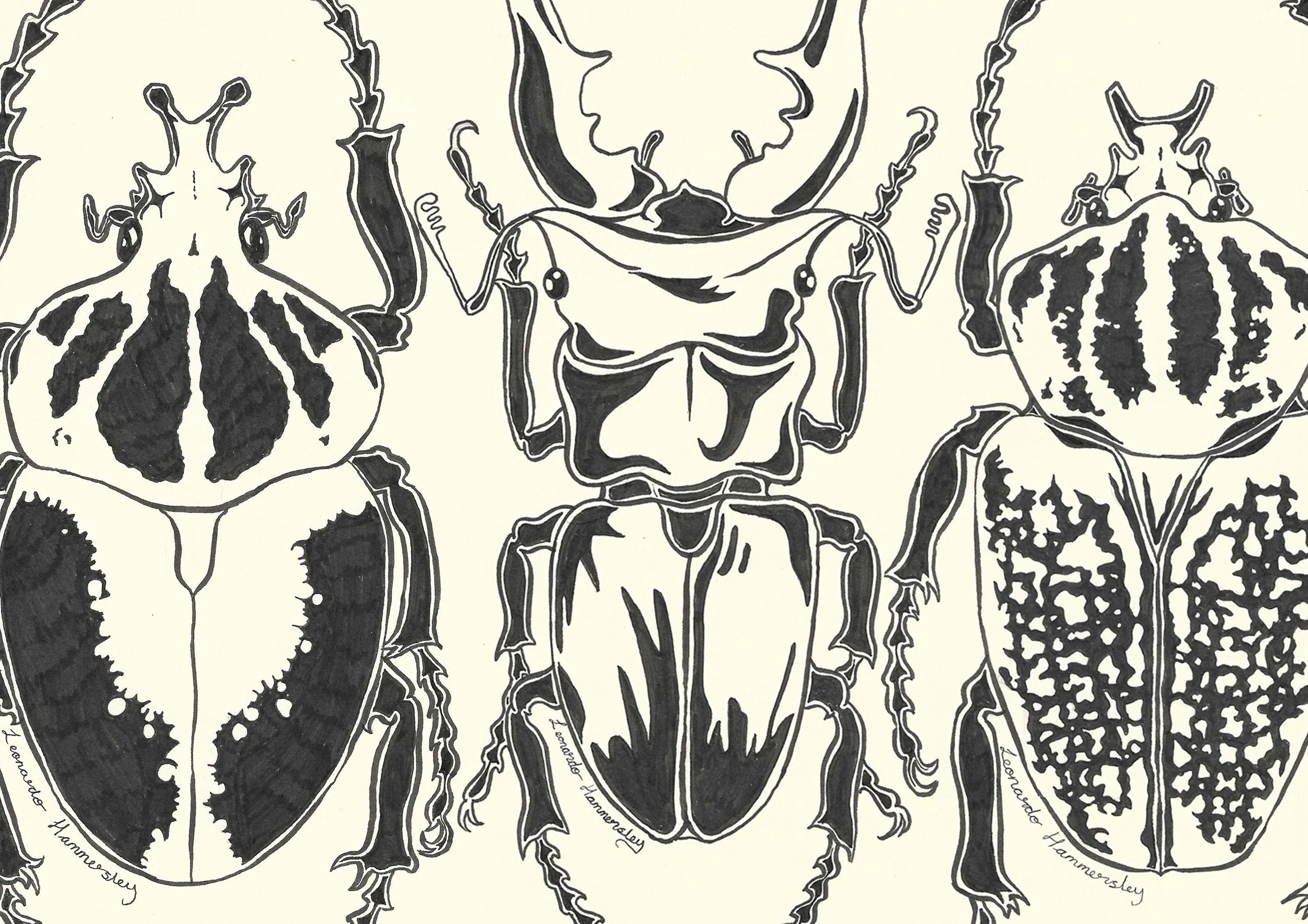 Beetles