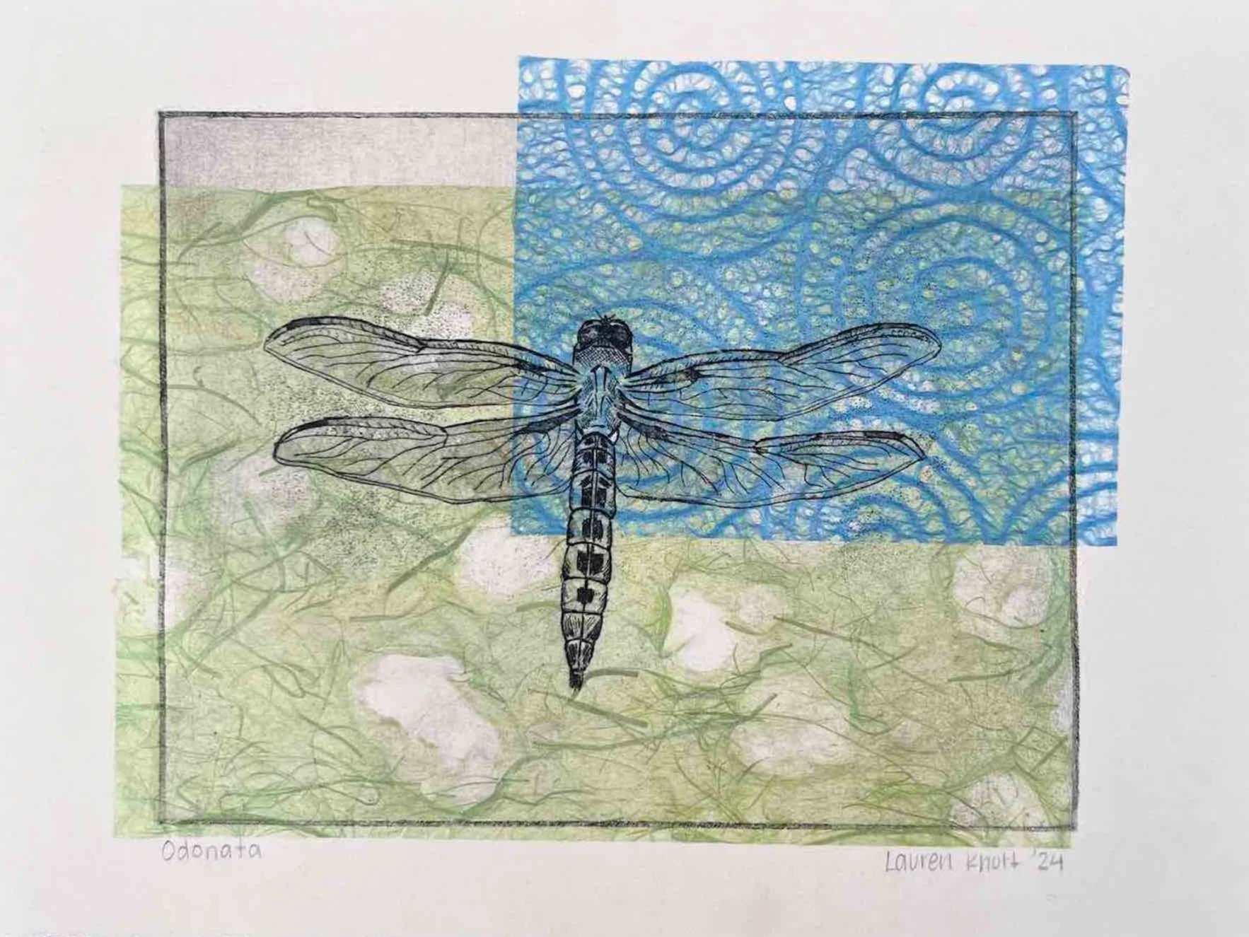 Knott_Lauren_Odonata_1.jpg