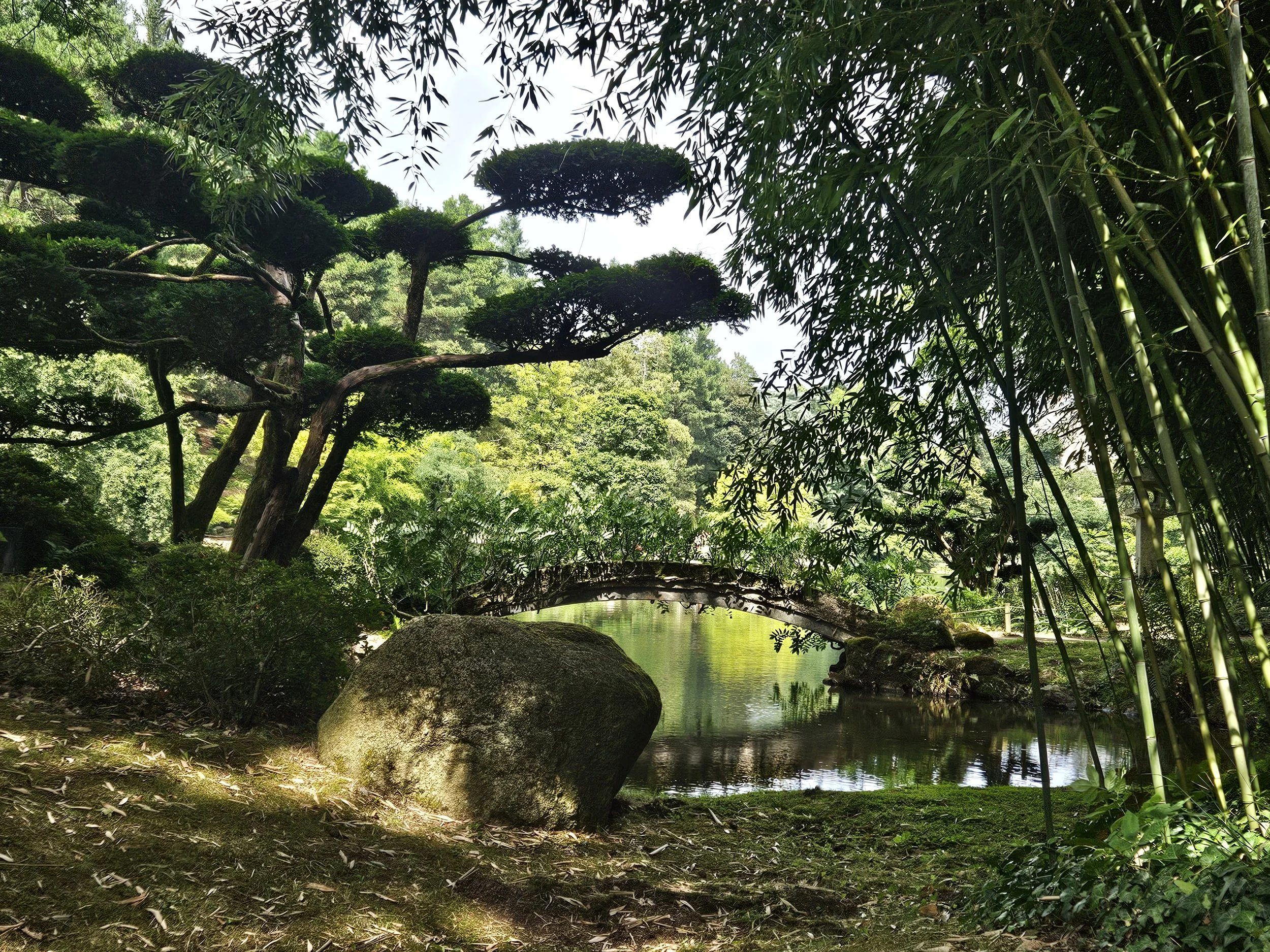 A lush, green landscape with a small pond, large rocks, and tall bamboo on the right, under a canopy of trees with twisted branches and trimmed topiary. Sunlight filters through the foliage.