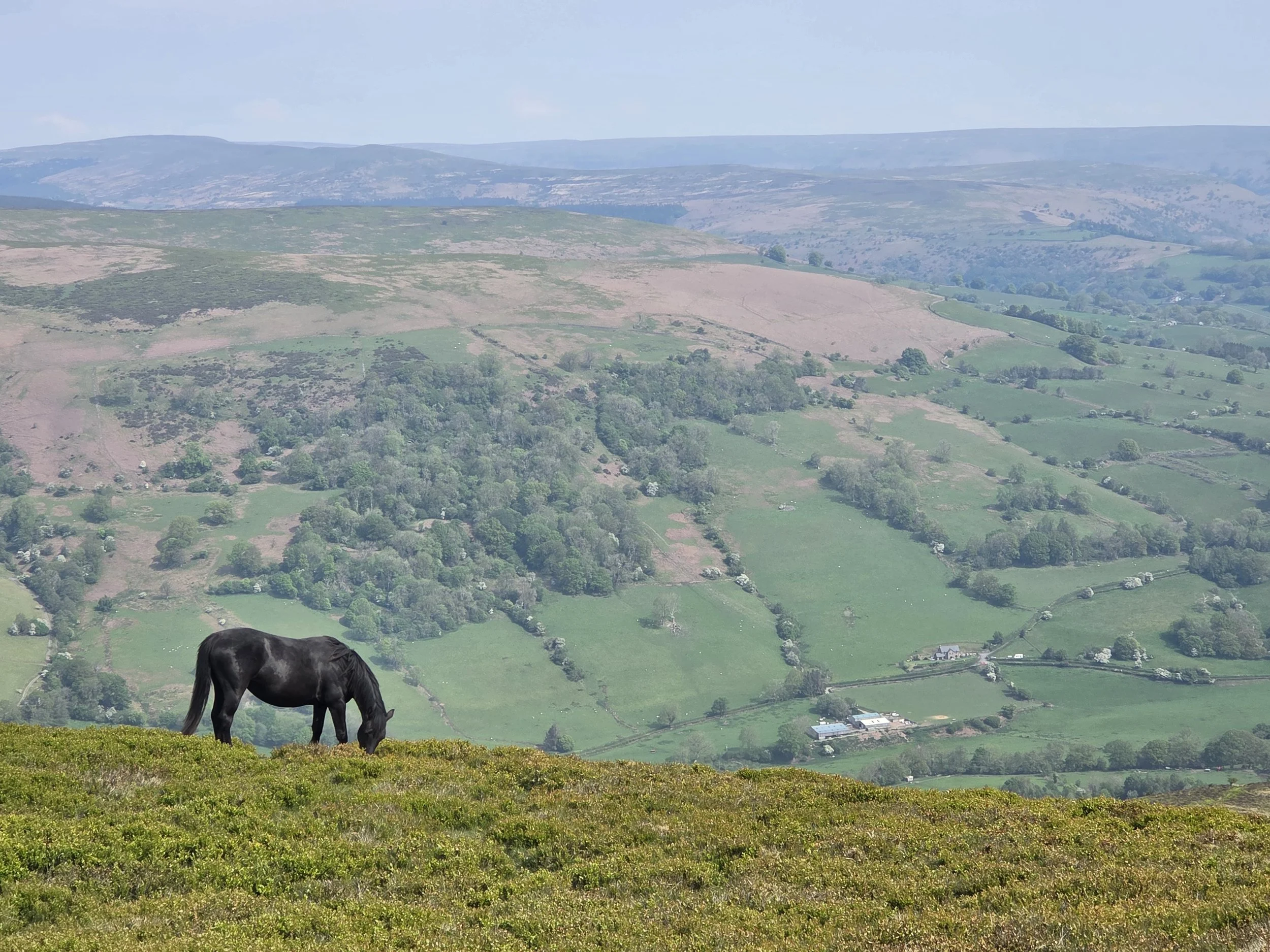 Picture taken by Sophie Southwell from the top of Sugar Loaf in Wales.