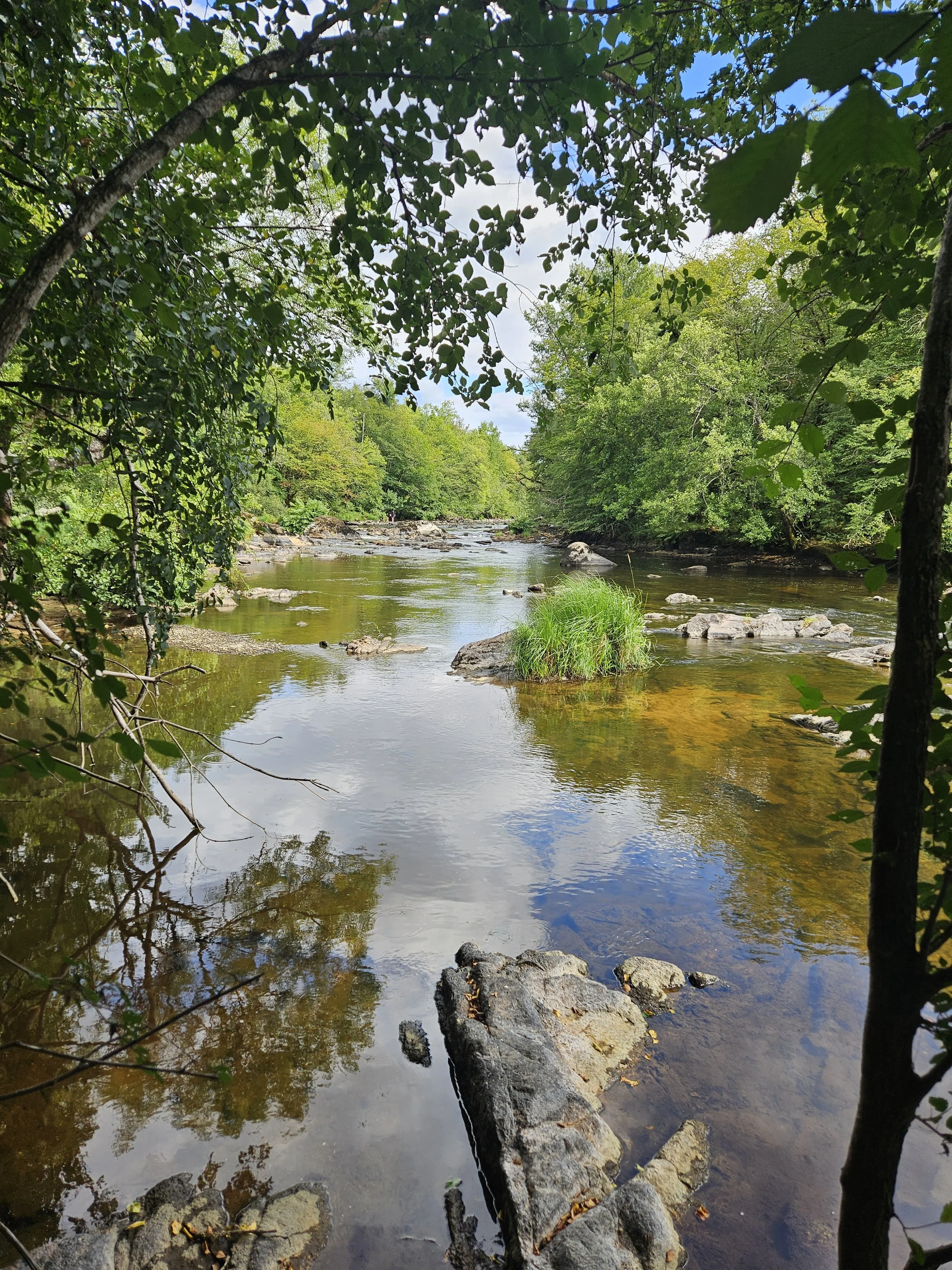 A peaceful river flowing through a forest with lush green trees on both sides, rocks scattered along the banks, reflecting the blue sky and white clouds above.