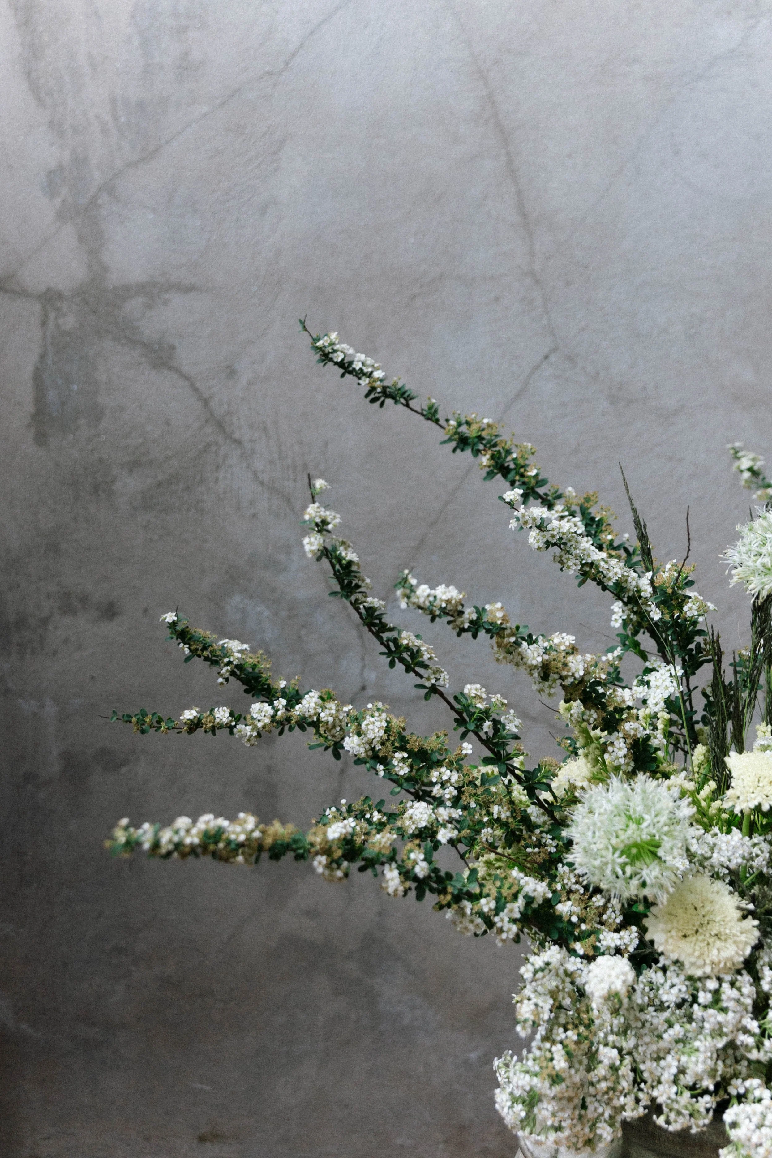 A close-up of a floral arrangement with white and green flowers against a plain gray textured background.