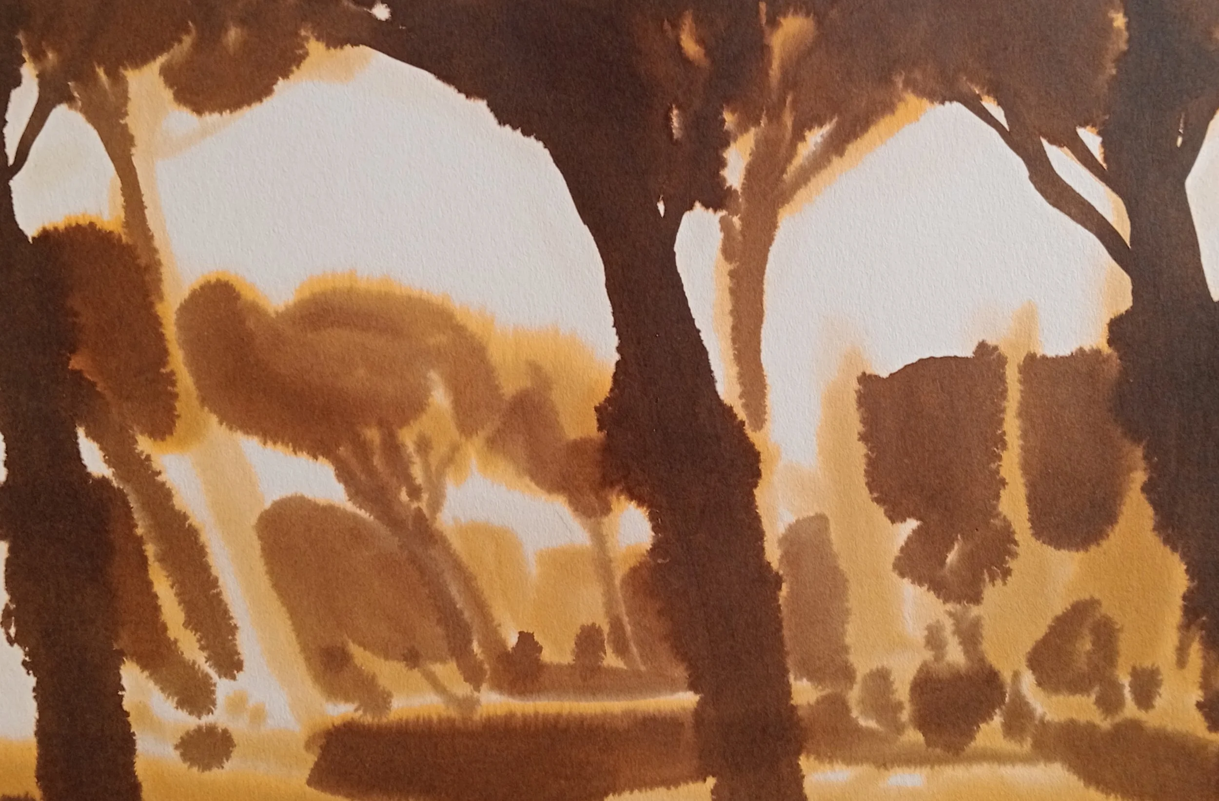 "Cassia"
Ink on “rosa spina” paper
35.5 × 25 cm
2003