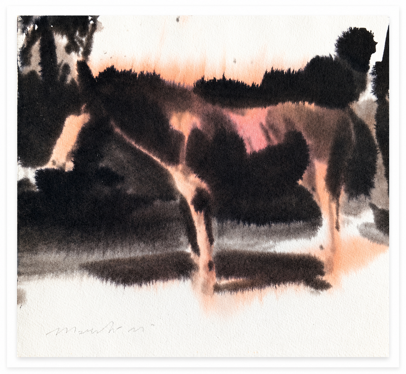 "Studio per Cavallo Brachiforme"
Watercolor and ink on Arches 300 gsm 100% cotton watercolor paper
30.2 × 27.5 cm
2025