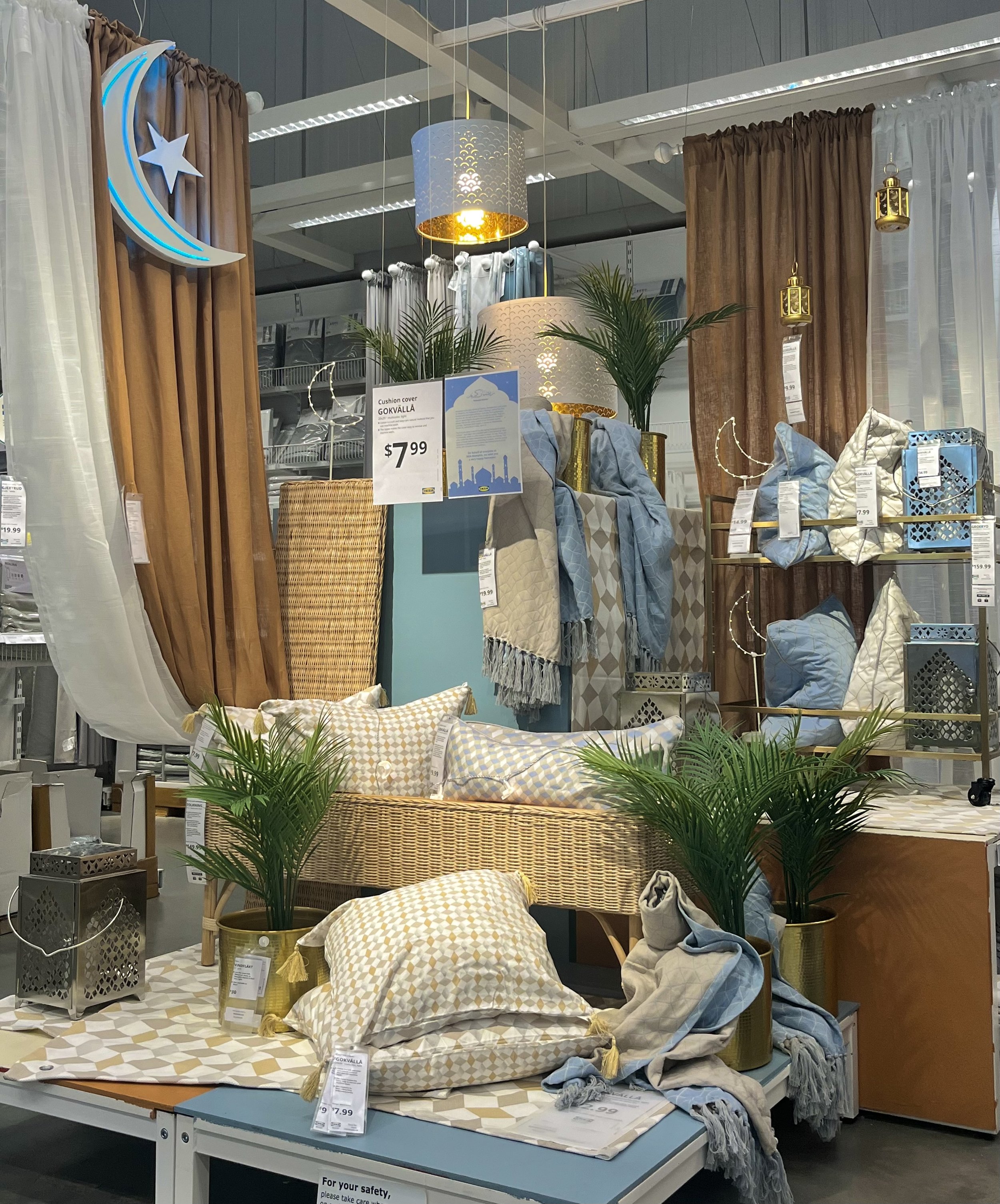 GOKVALLA moon 1.jpeg