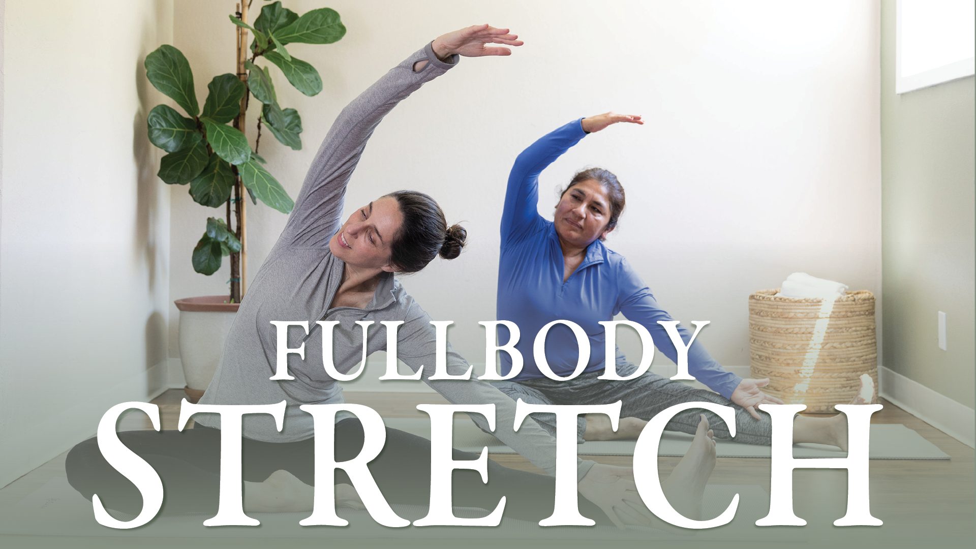 fullbodyStretch.png