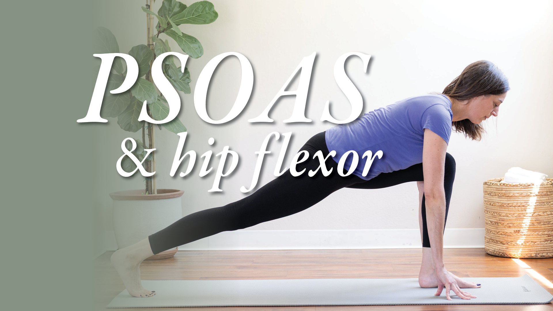 psoas&hipflexor.png