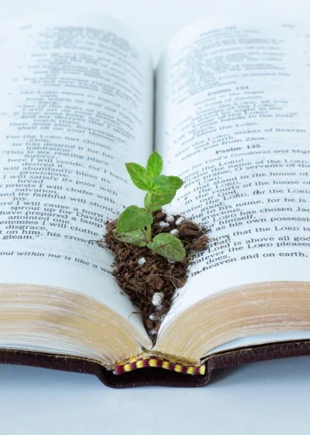 Growing closer to GOD