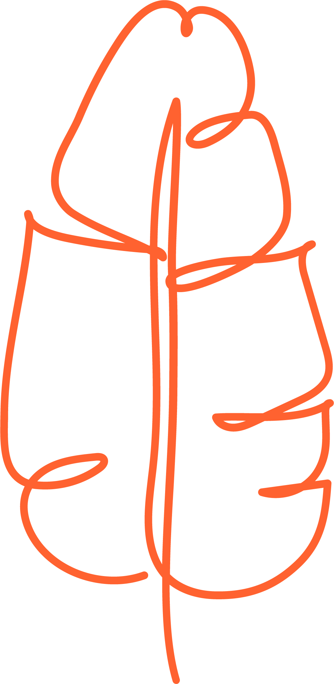Poppy-colored line drawing of a leaf.