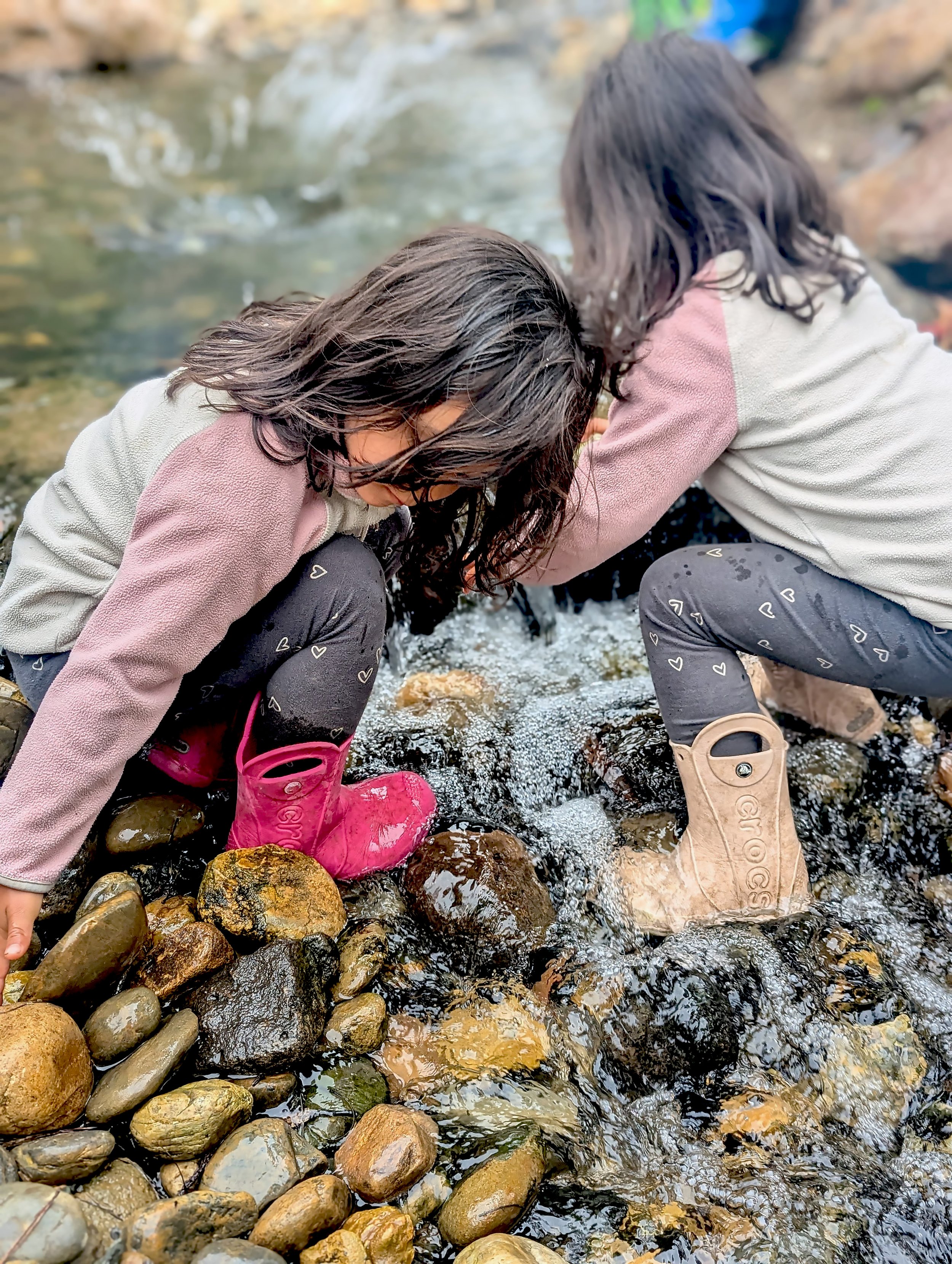 Sylva School students kneeling by a creek, closely examining the water among colorful rocks and stones.