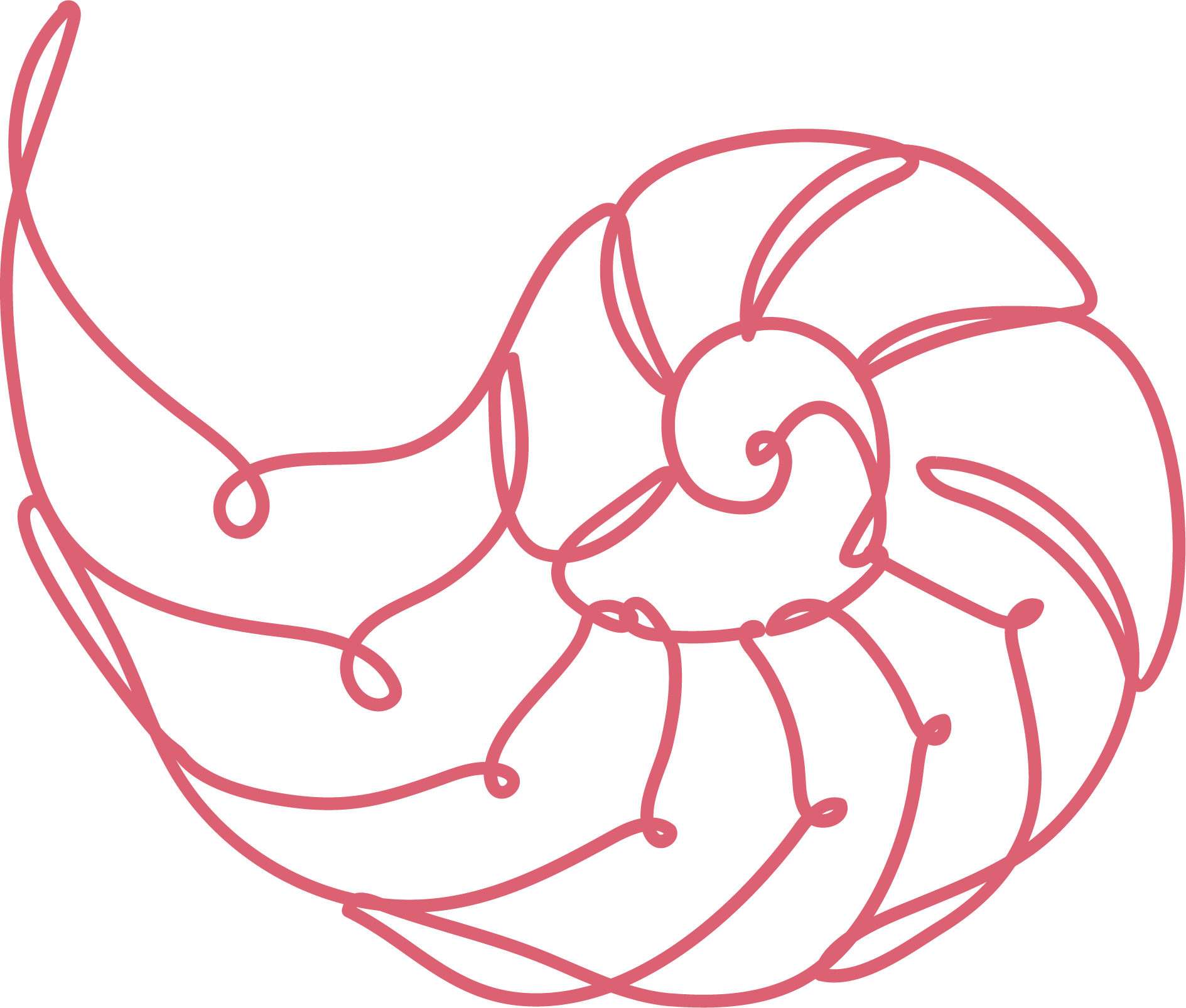 Peony-colored line drawing of a shell.