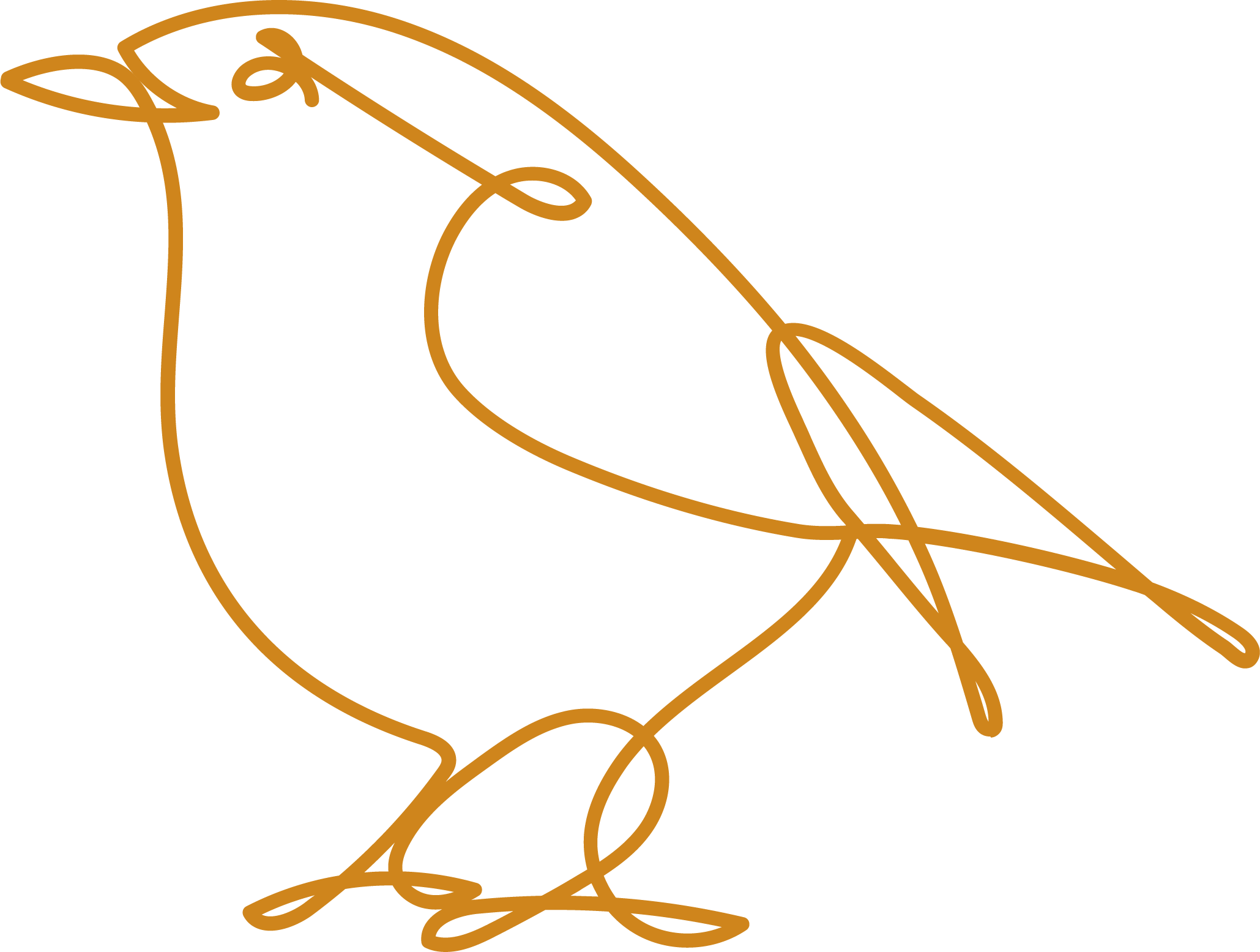 Amber-colored line drawing of a bird.