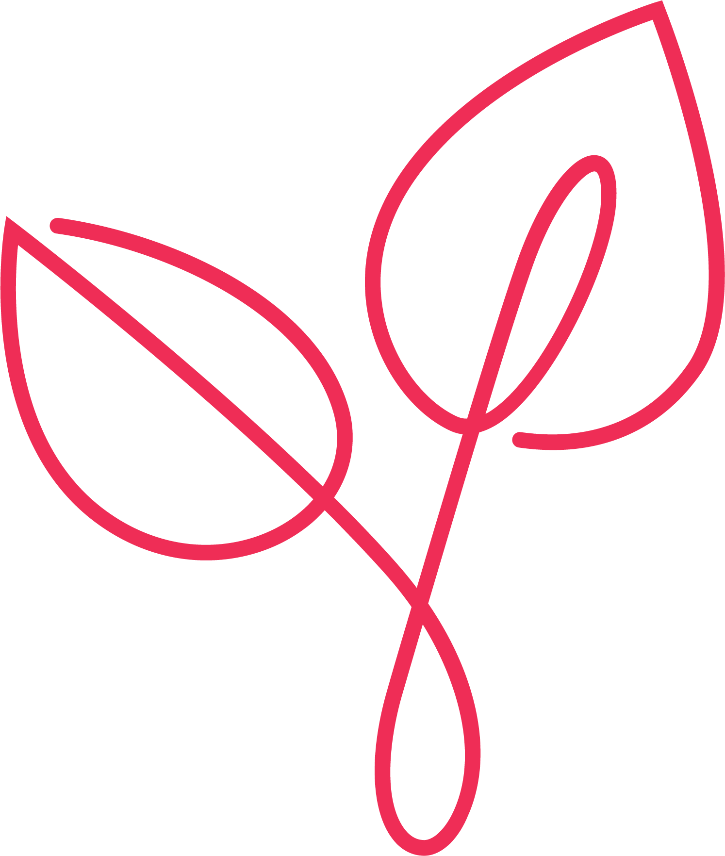 Hyacinth-colored line drawing of two leaves.