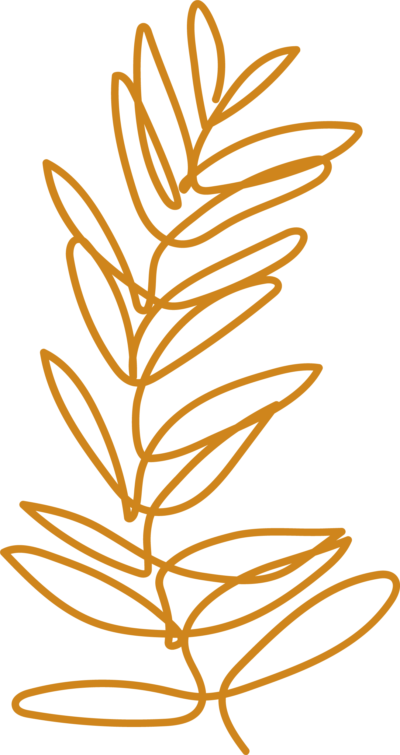 Amber-colored line drawing of a plant.