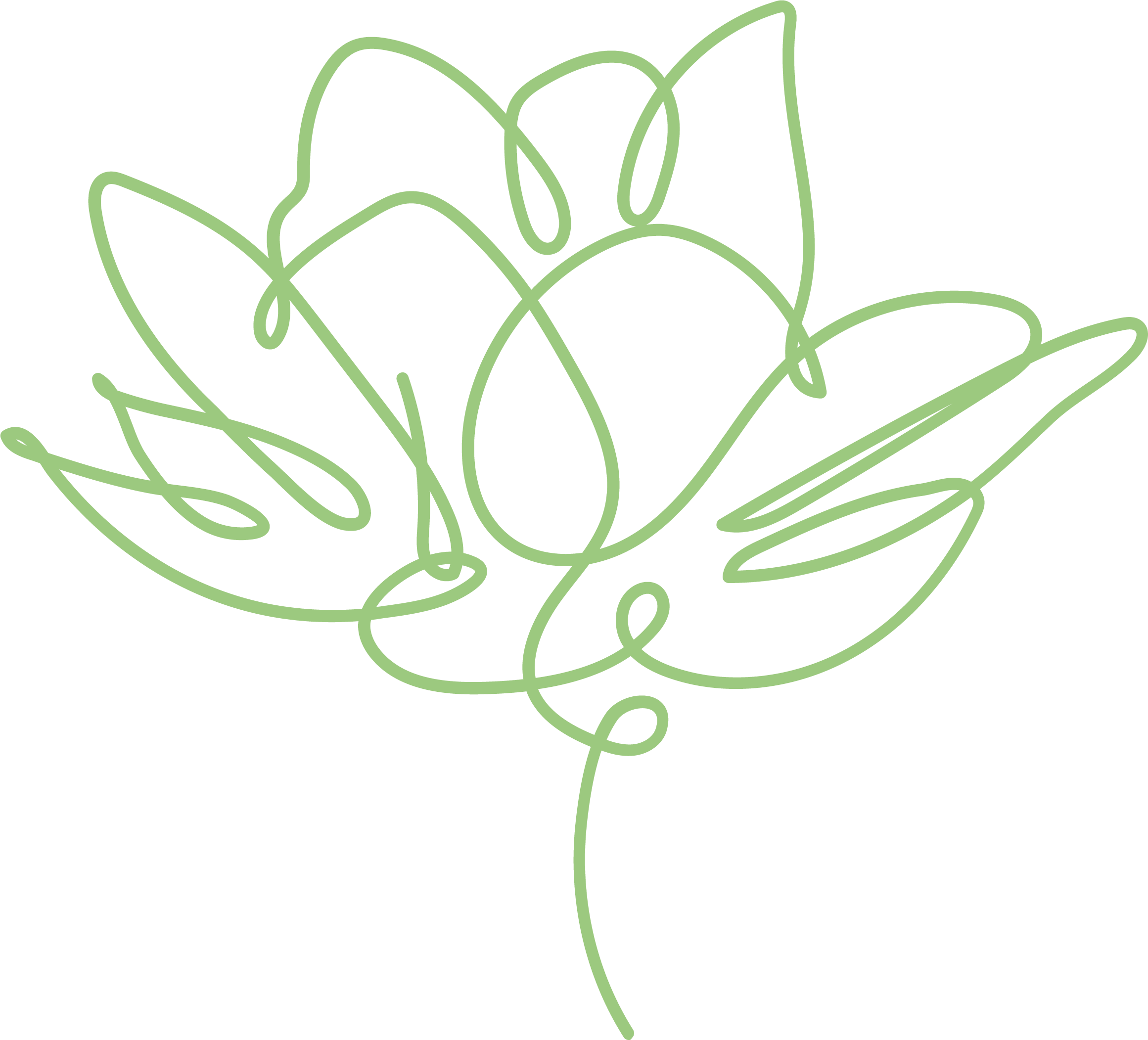 Mint-colored line drawing of a flower.