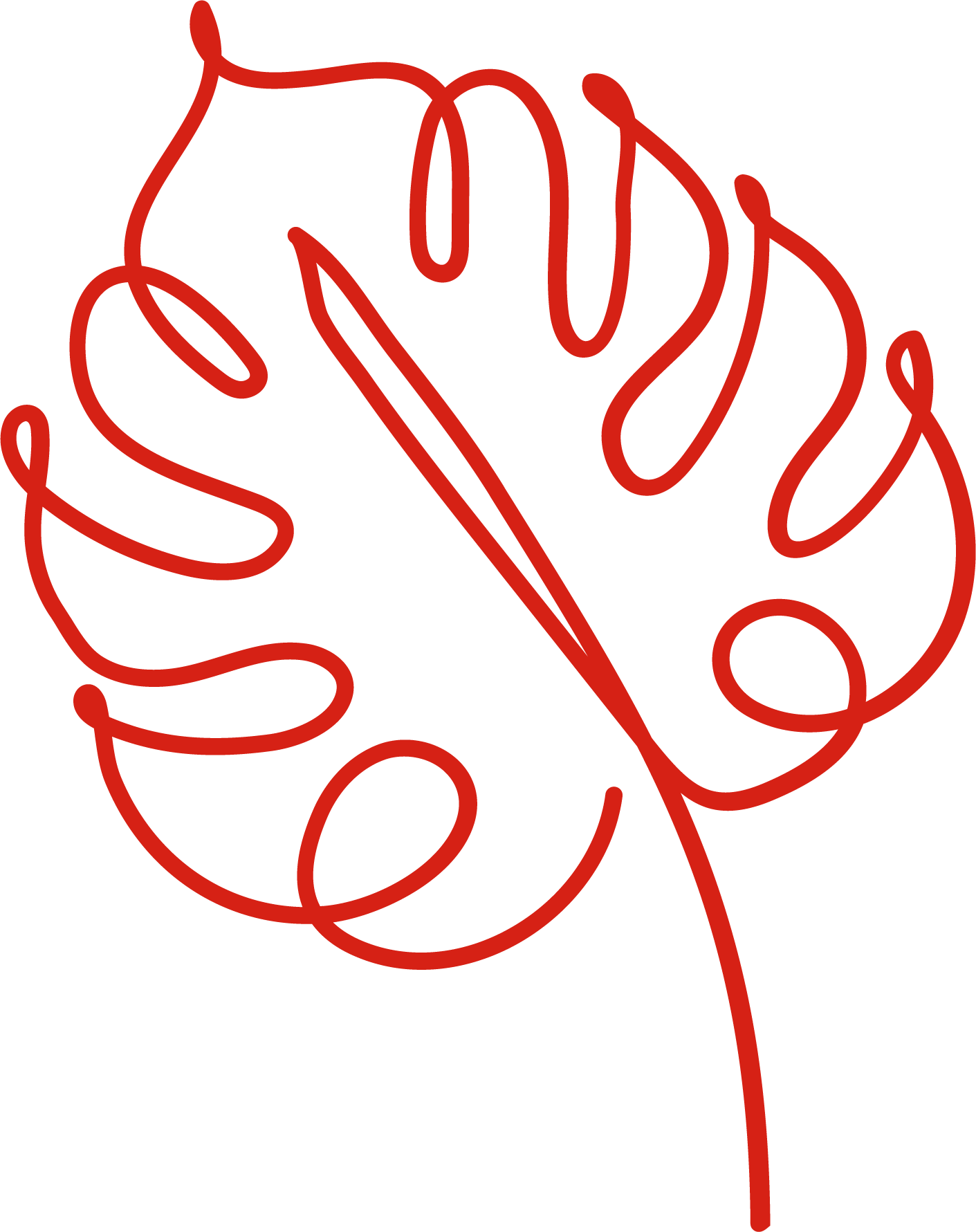 Rhododendron-colored line drawing of leaf.
