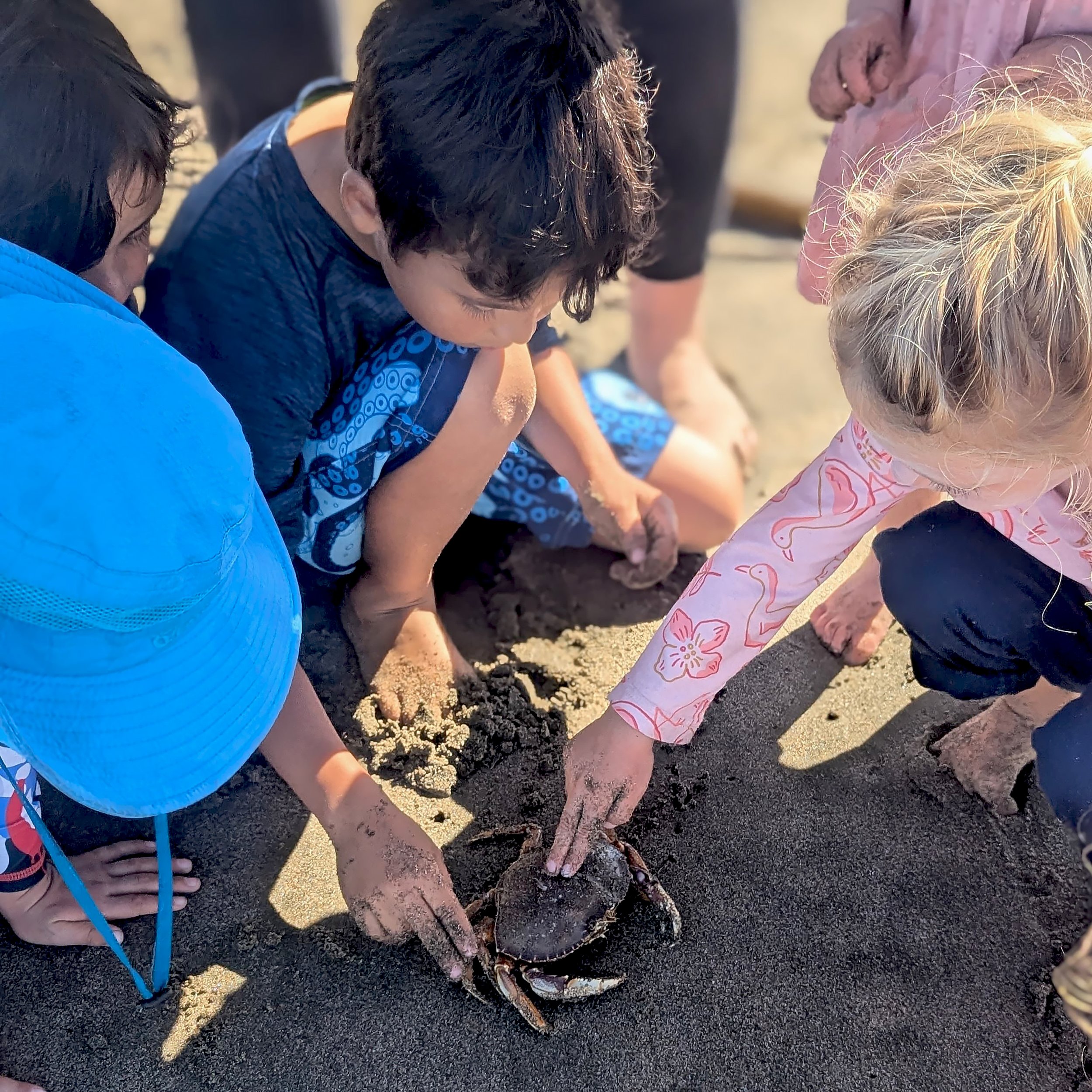 Children digging in the sand on a beach, with their hands and feet visible, surrounded by small rocks and sand.
