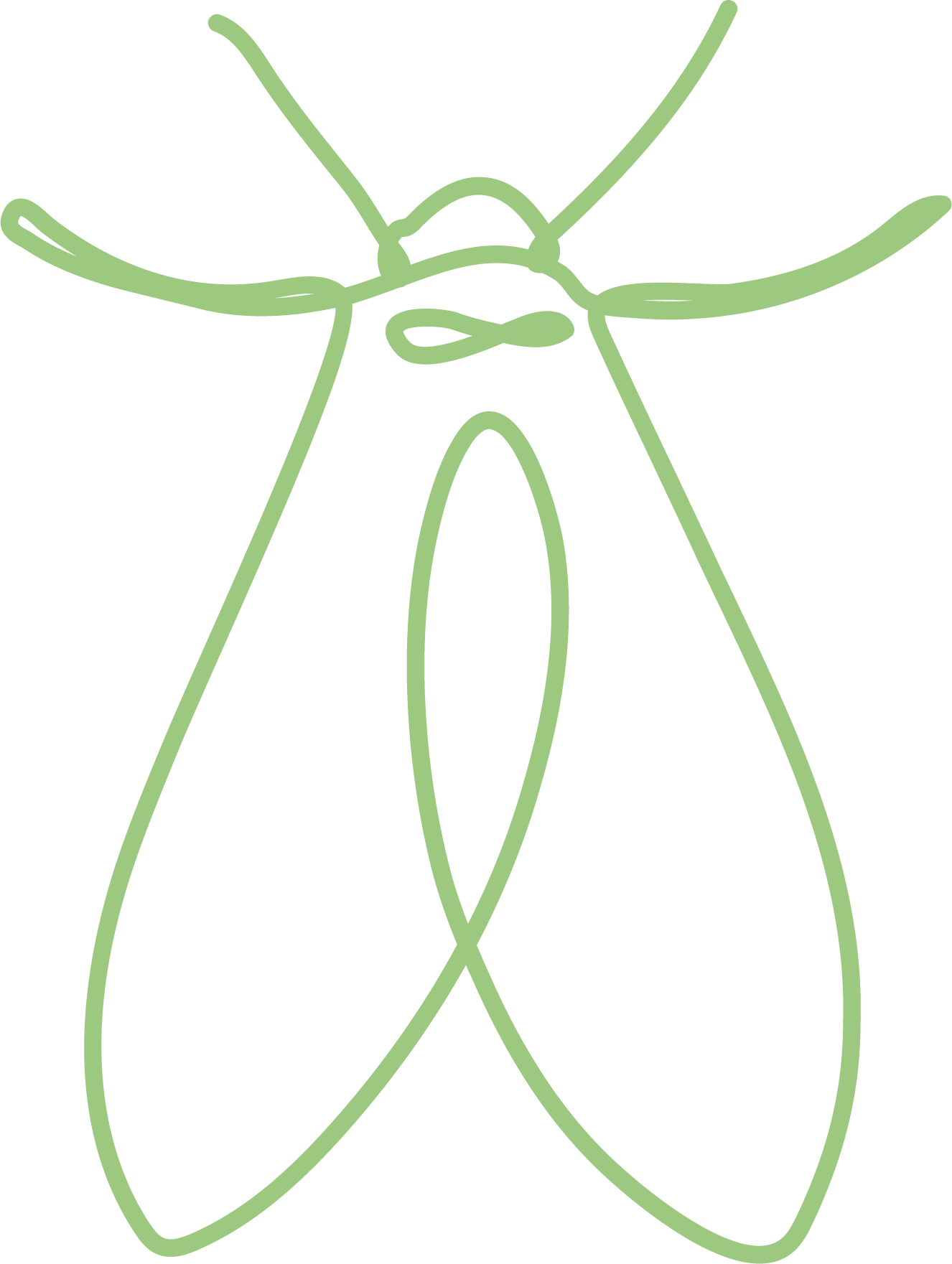 Mint-colored line drawing of a lightning bug.
