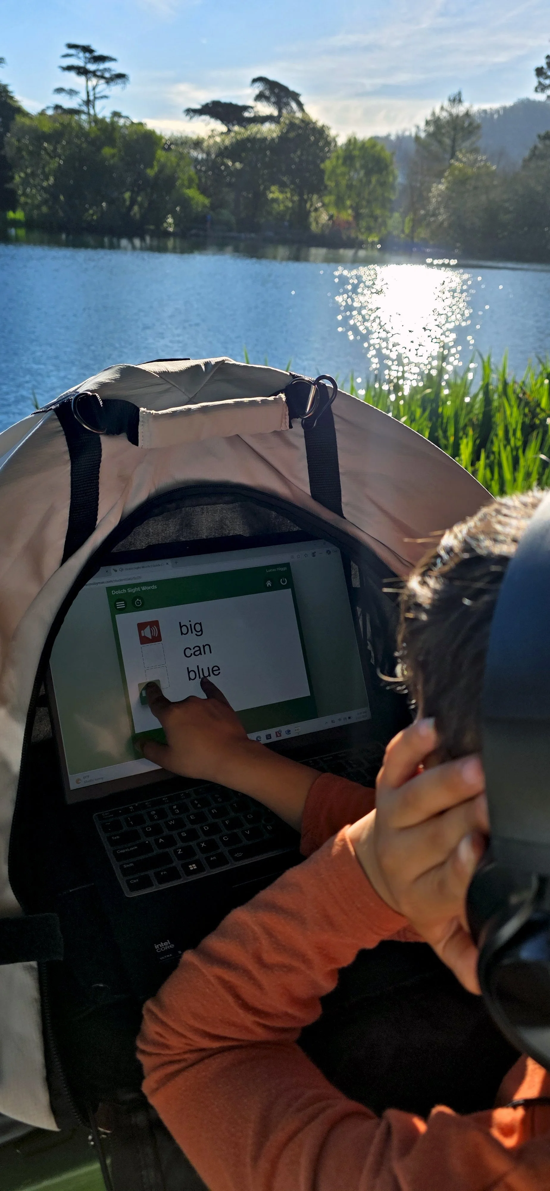 Sylva School adaptive learning platform