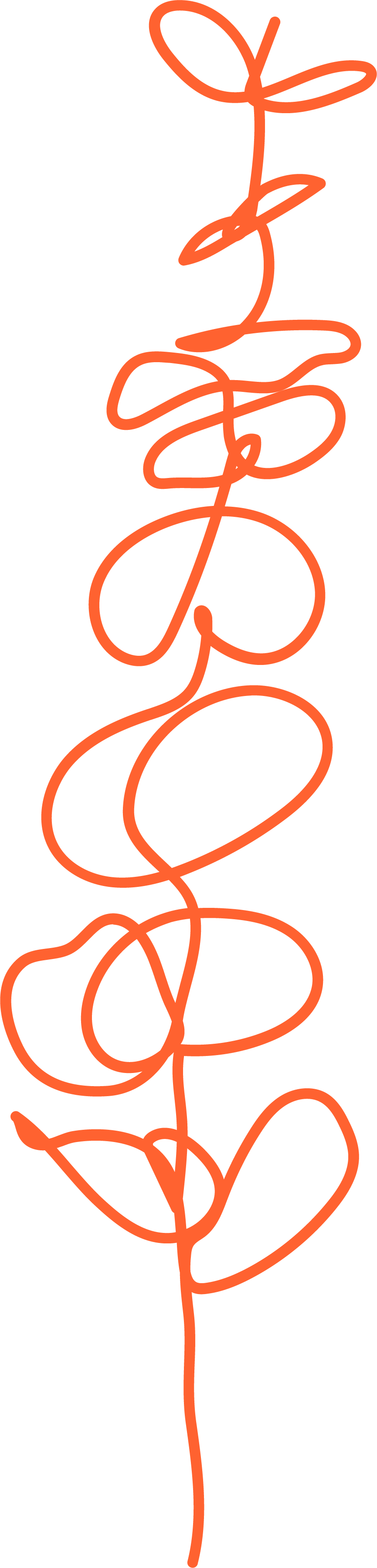 Poppy-colored line drawing of a plant.