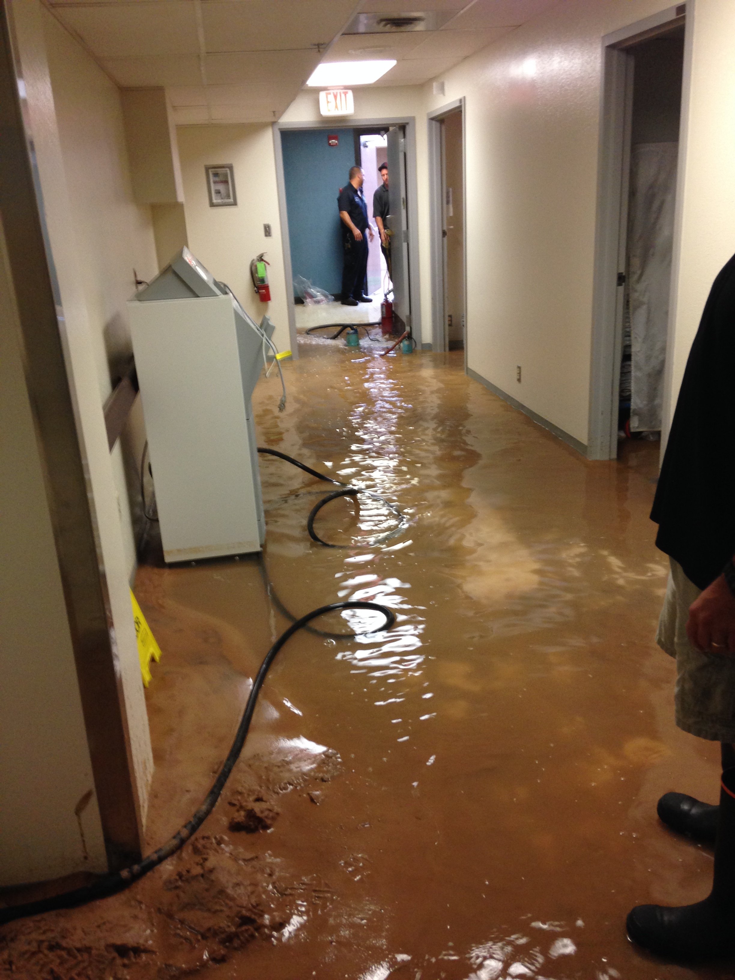 Why Every Minute Matters After Water Damage: Protect Your Home or Business Before the Damage Gets Worse