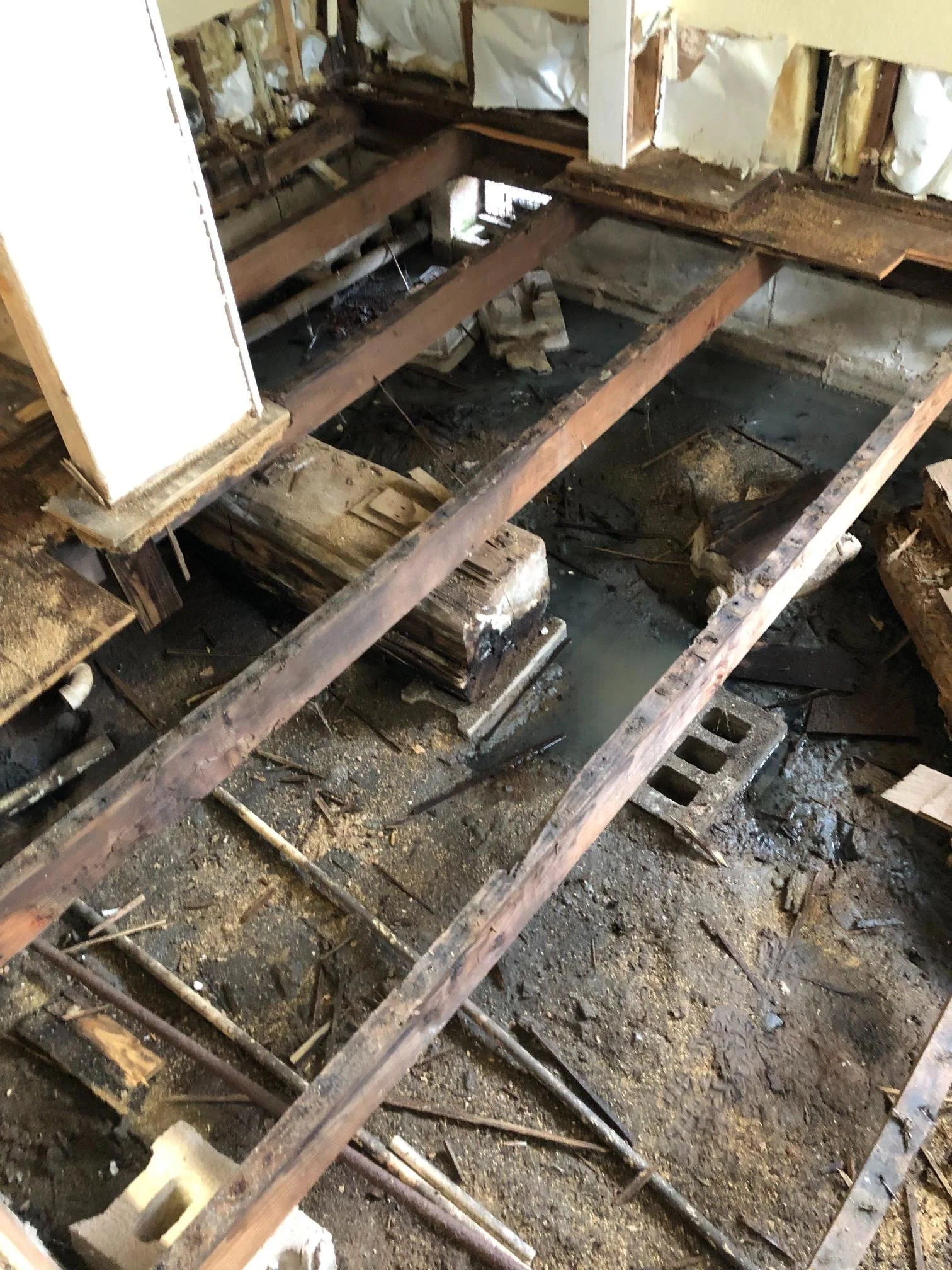 Water_Damage_Restoration_IMG_2209.jpg