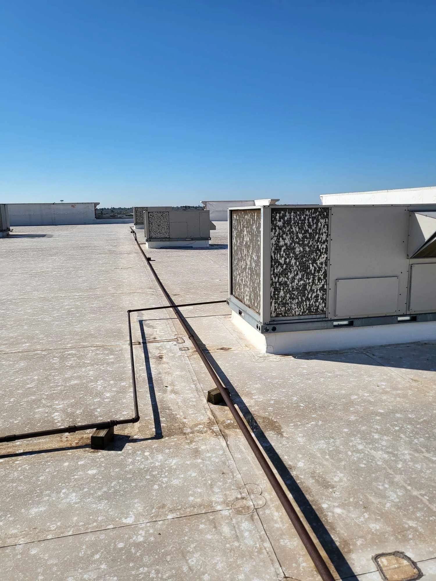 Structural Drying & Dehumidification