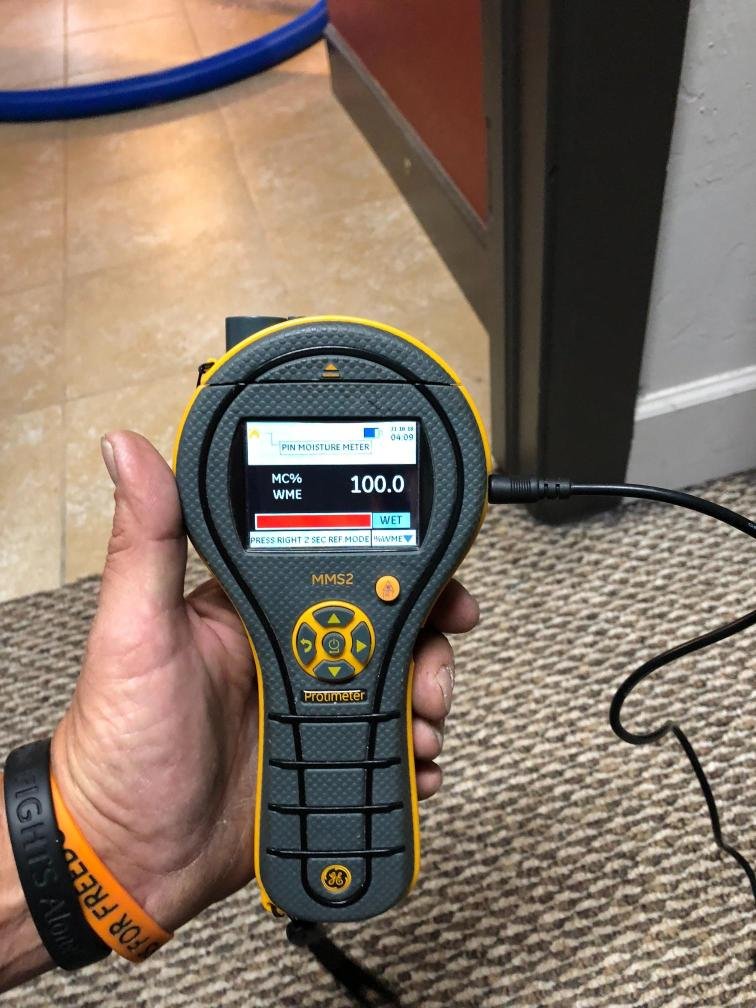 A hand holding a digital moisture meter with a display reading 100.0, measuring moisture in wood or building materials, with a black and yellow design, in an indoor setting.