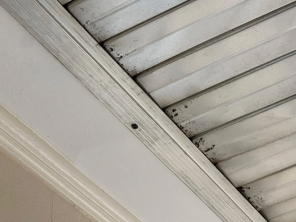 Close-up of the ceiling corner showing mold growing
