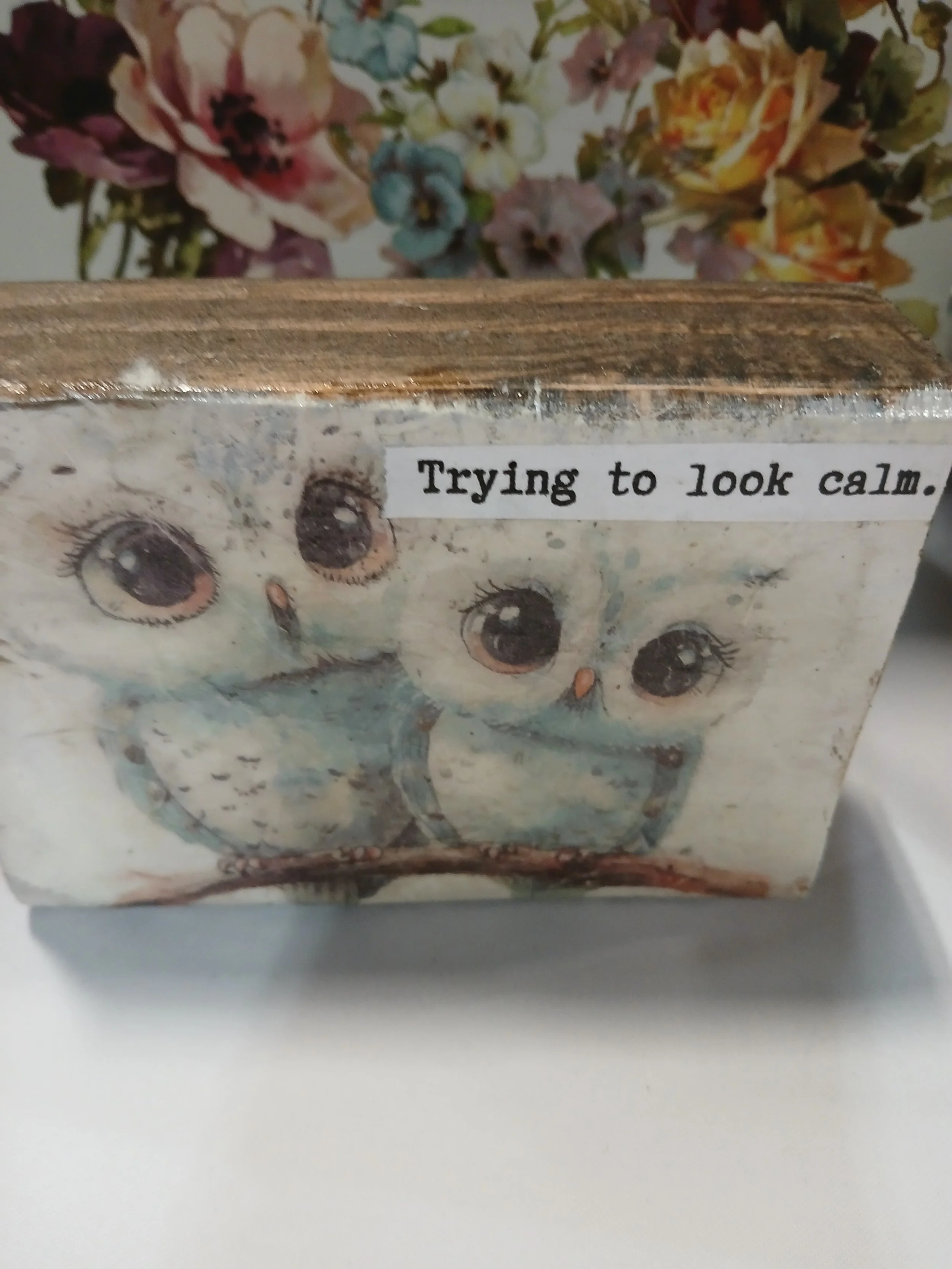 1000010253.jpg