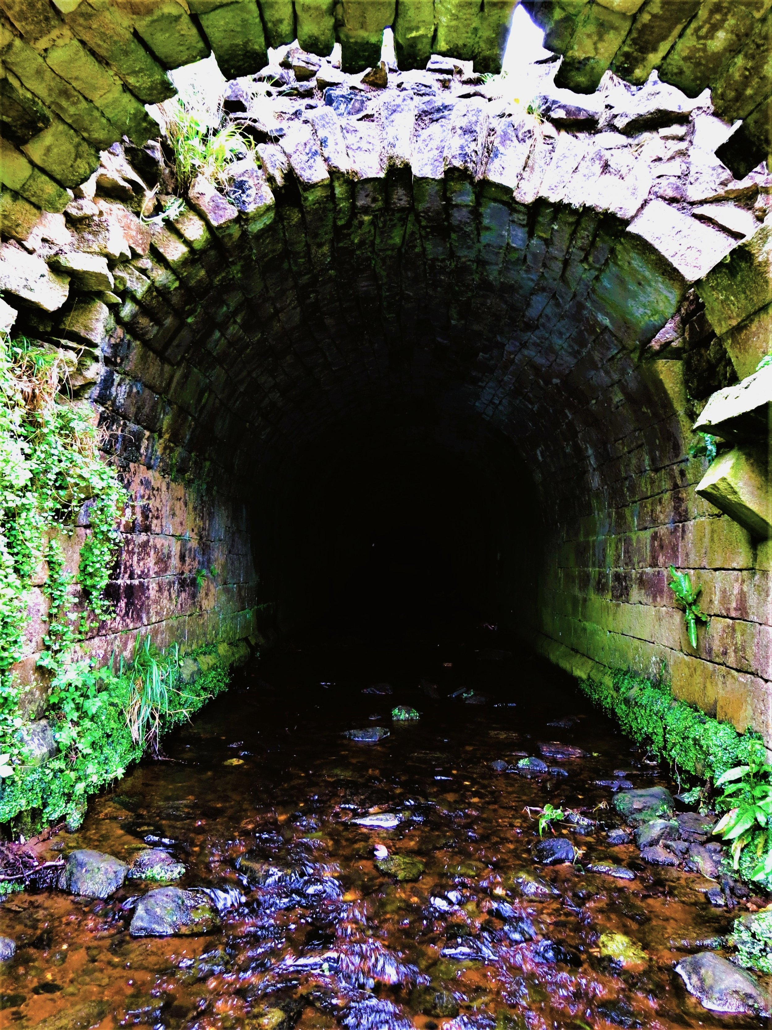 FH020001.jpg