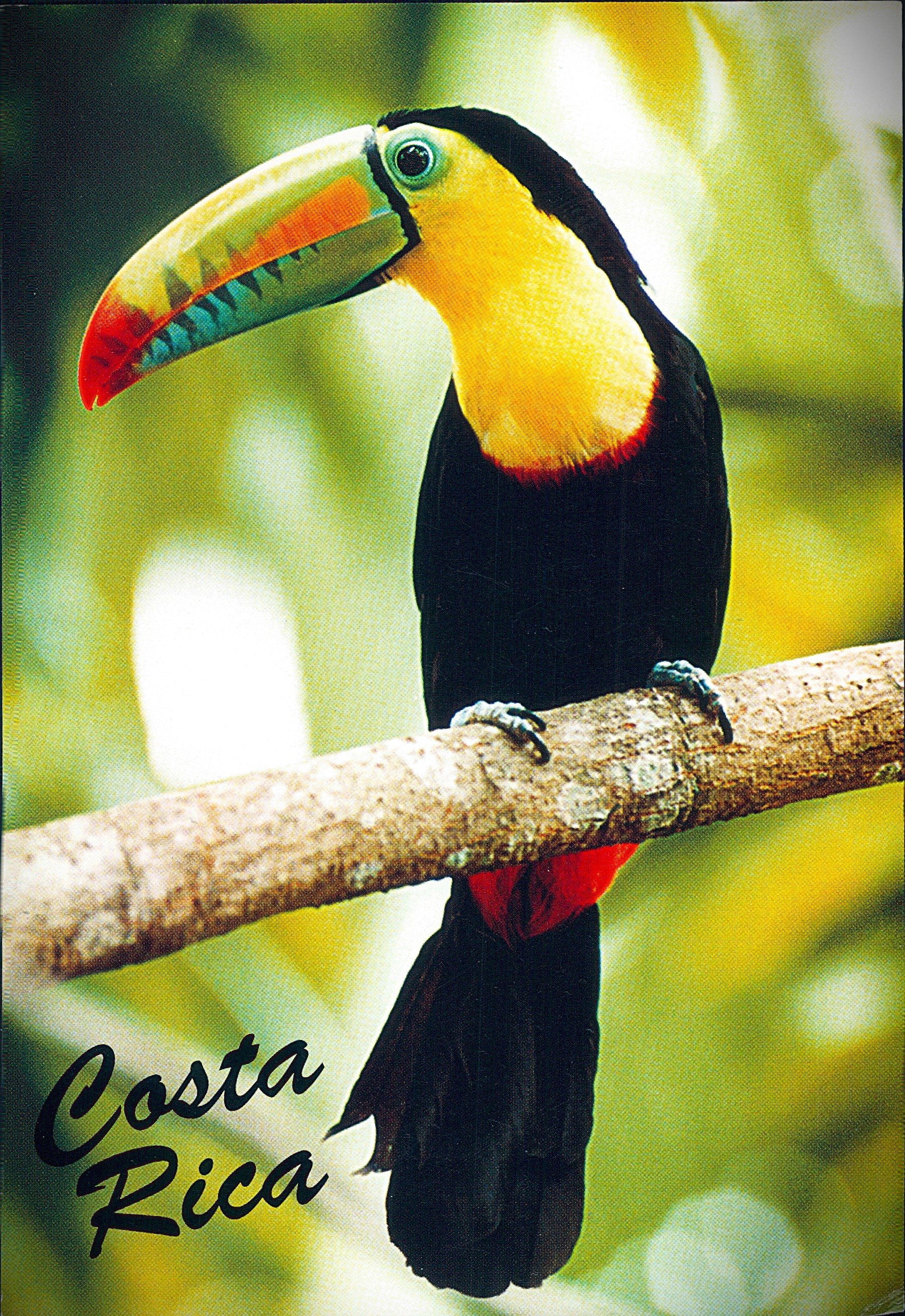 J_IMG0000065A.jpg