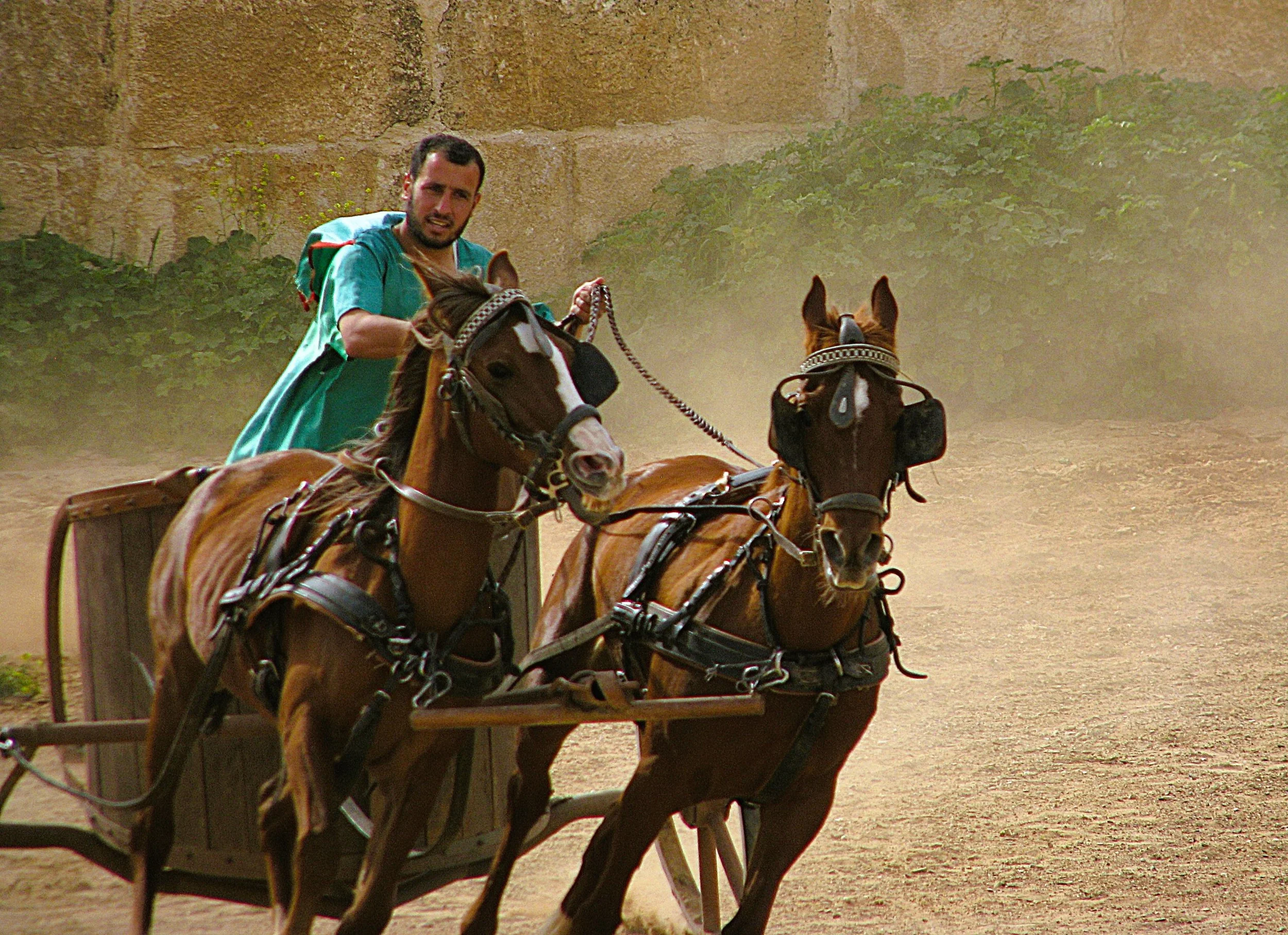 chariot.jpg