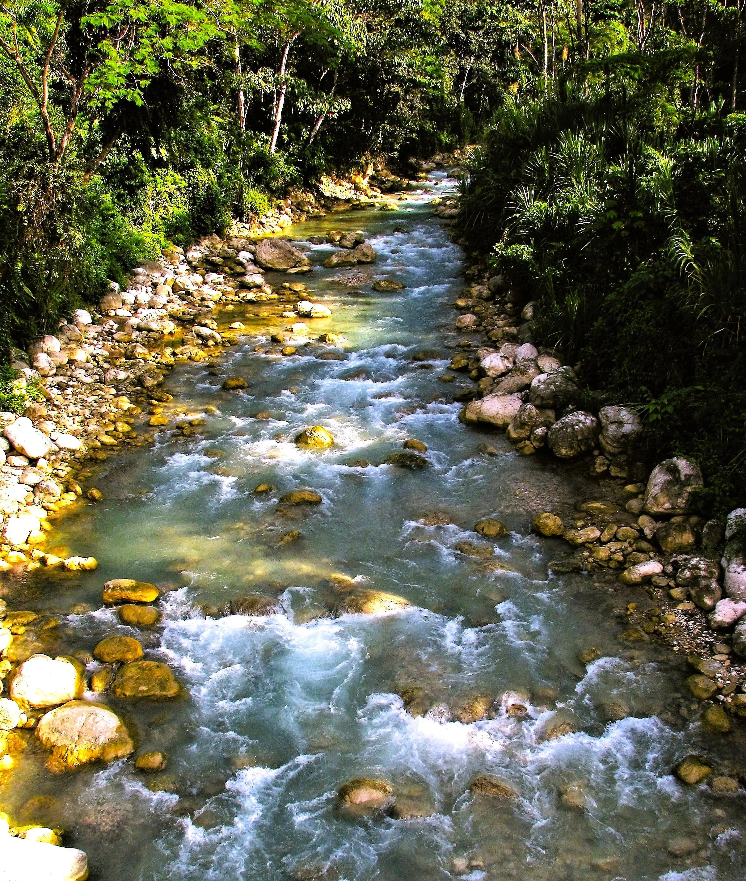 IMG_4297.jpg