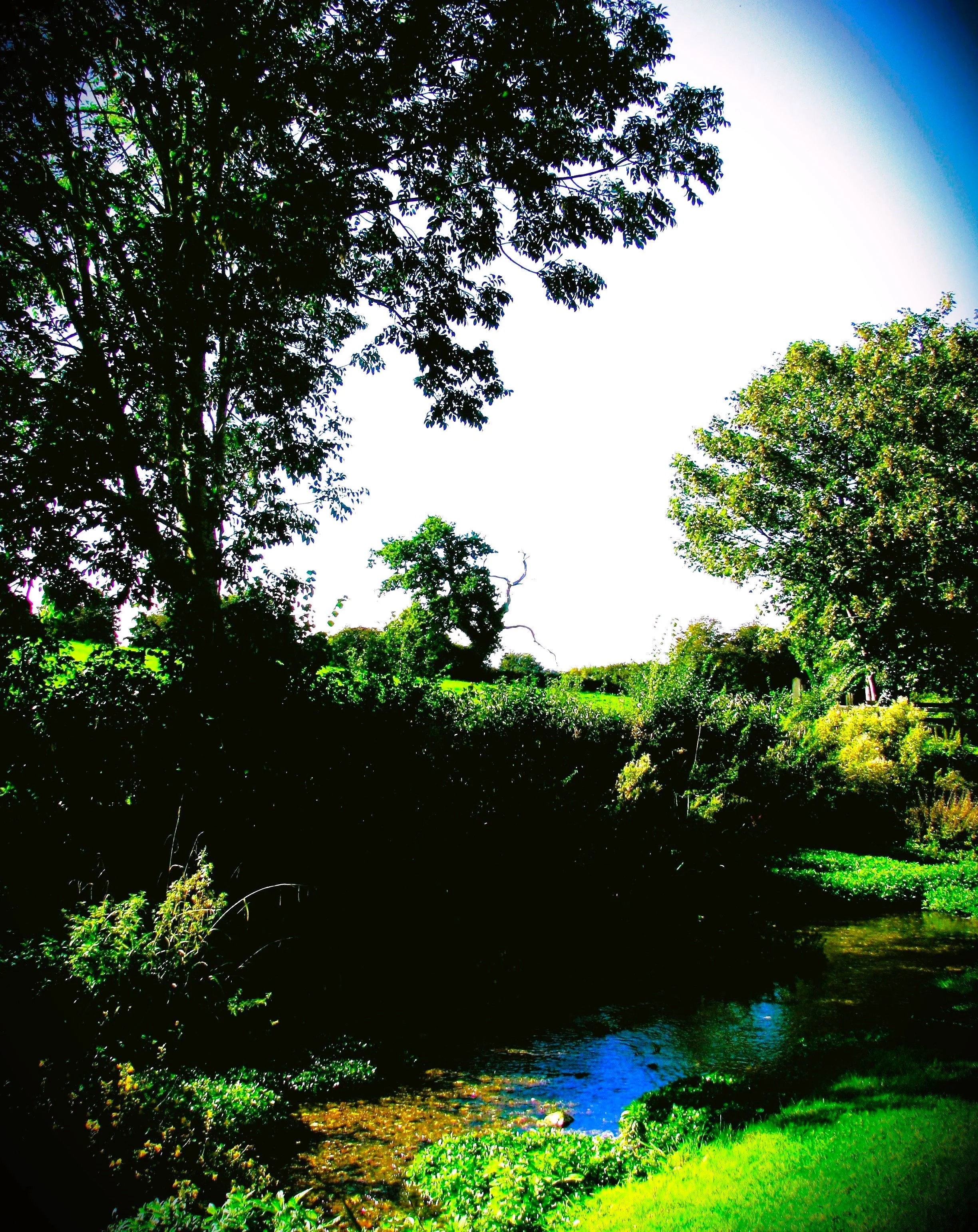 FH010030.jpg