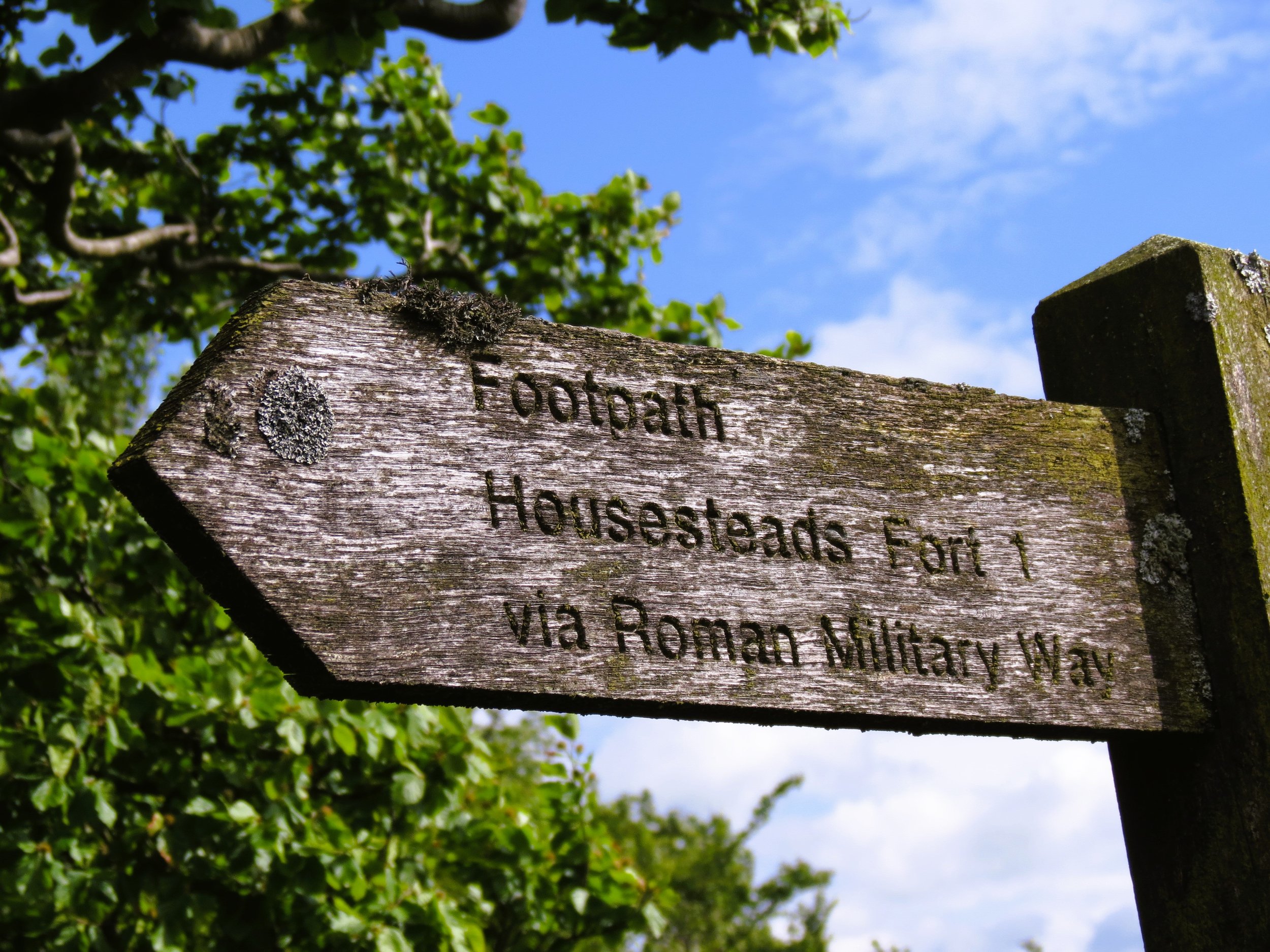 FH020025.jpg