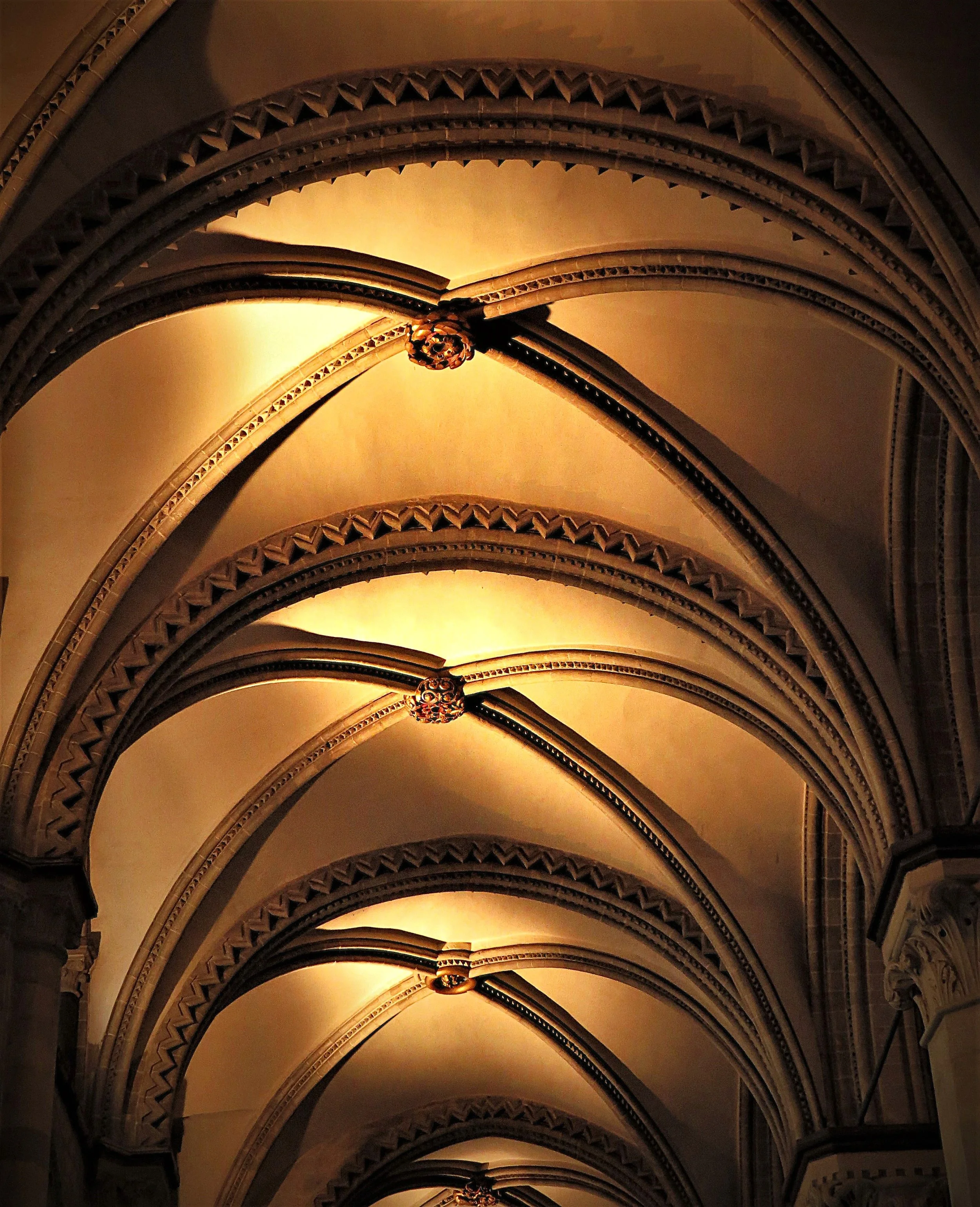 FH030005.jpg
