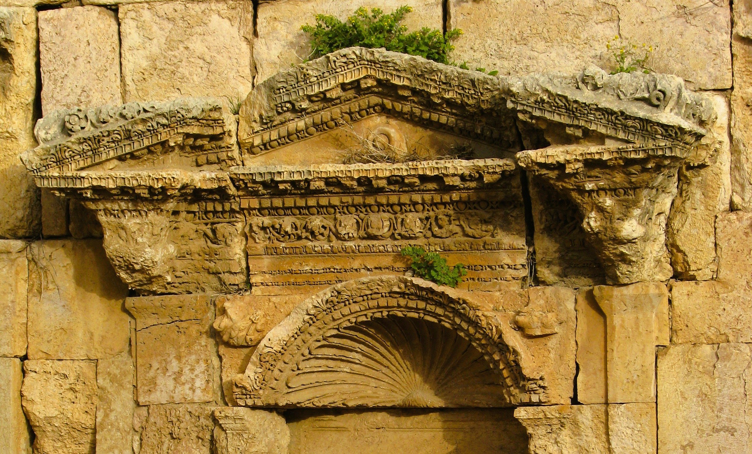 wall shell.jpg