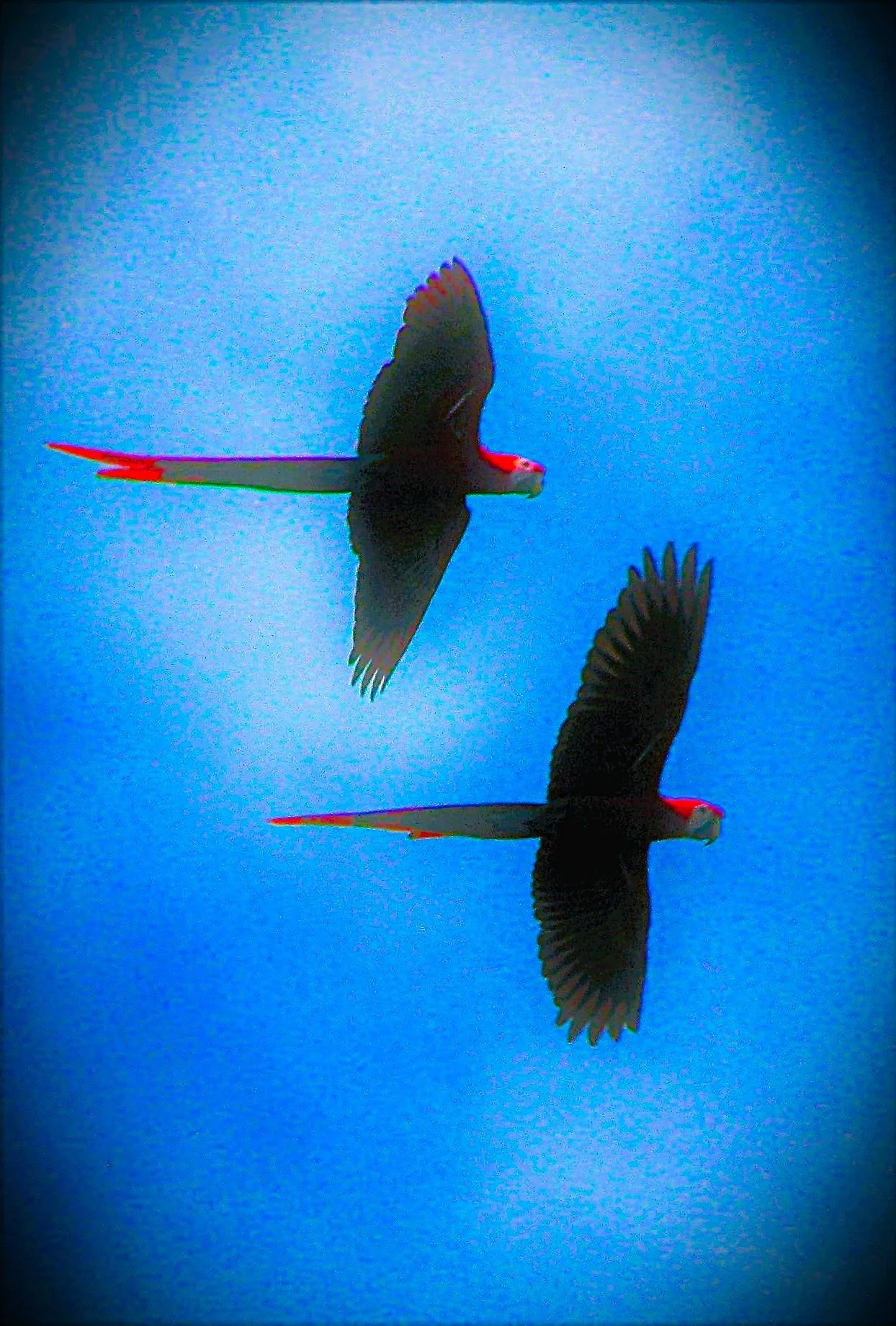 FH050024.jpg