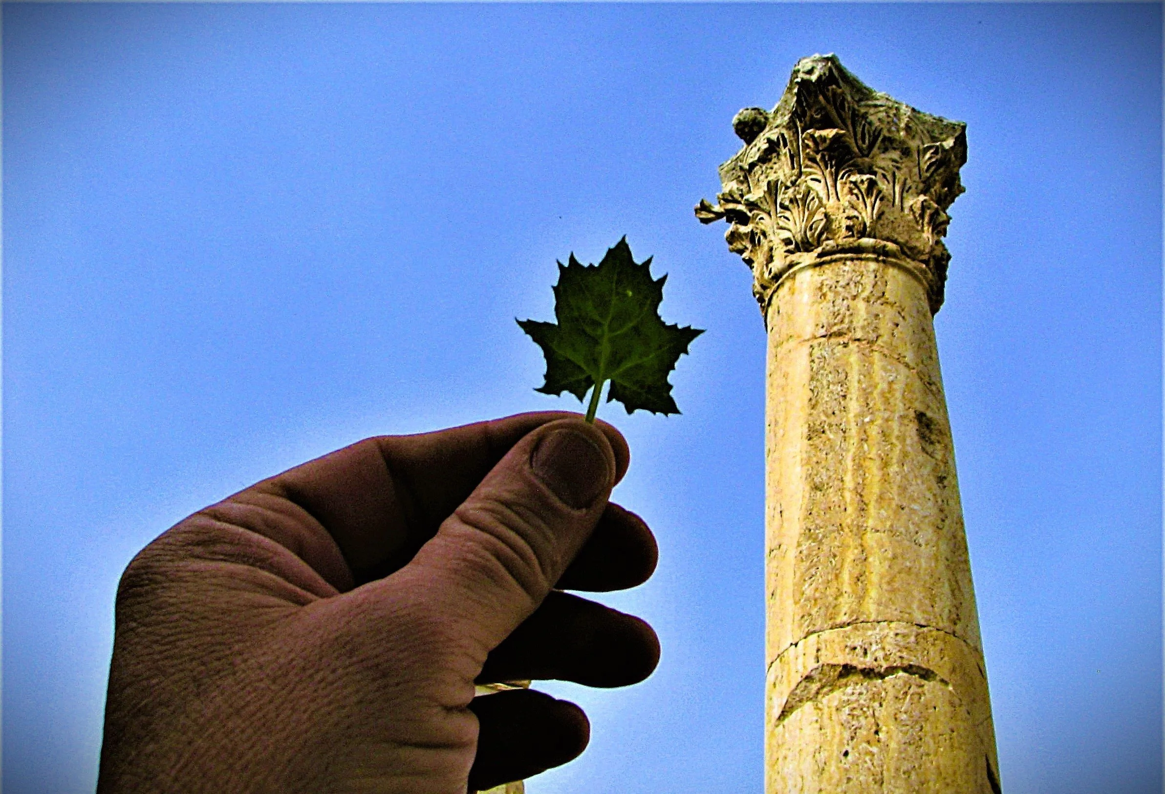 FH010007.jpg