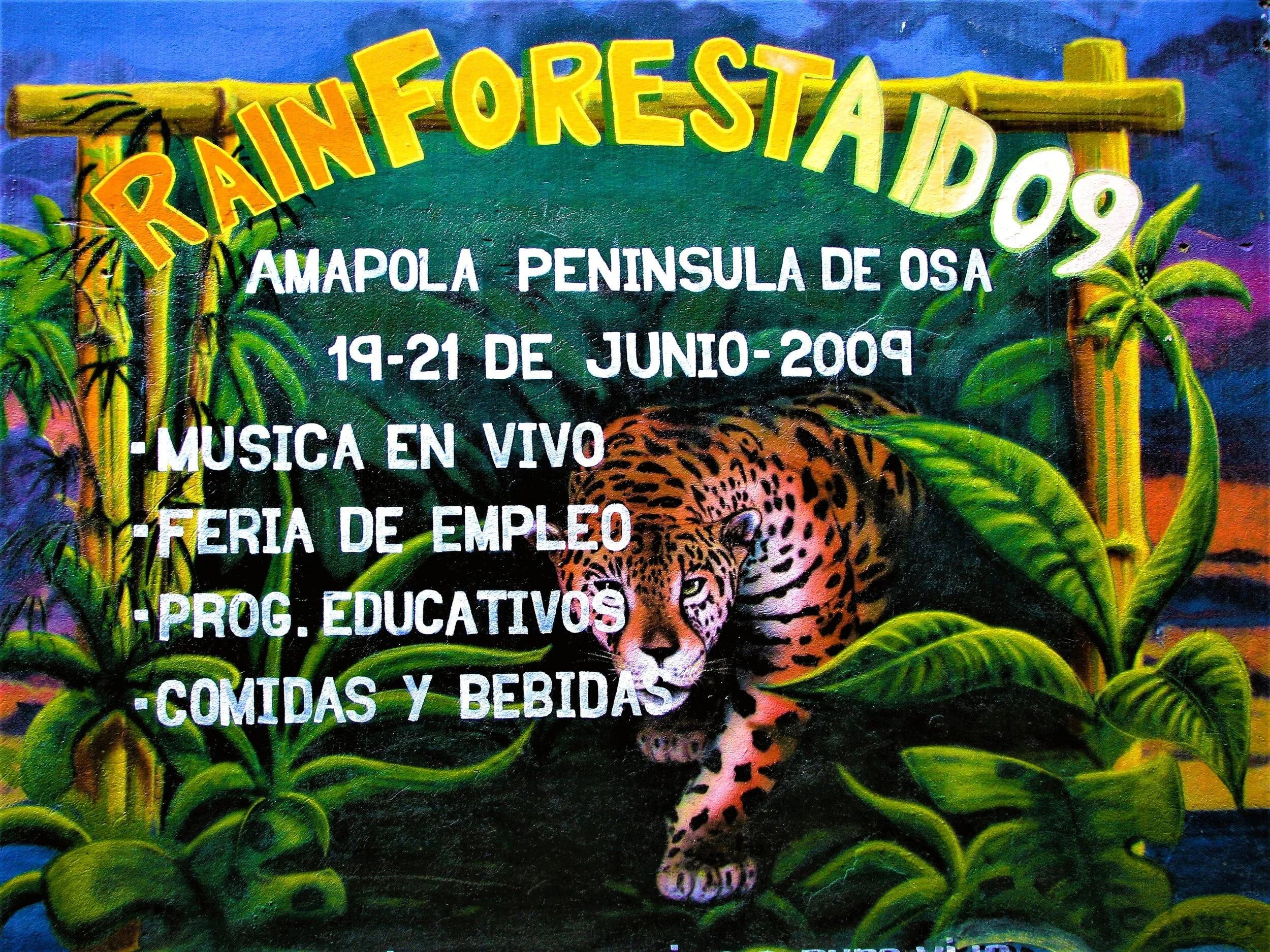 FH050013.jpg