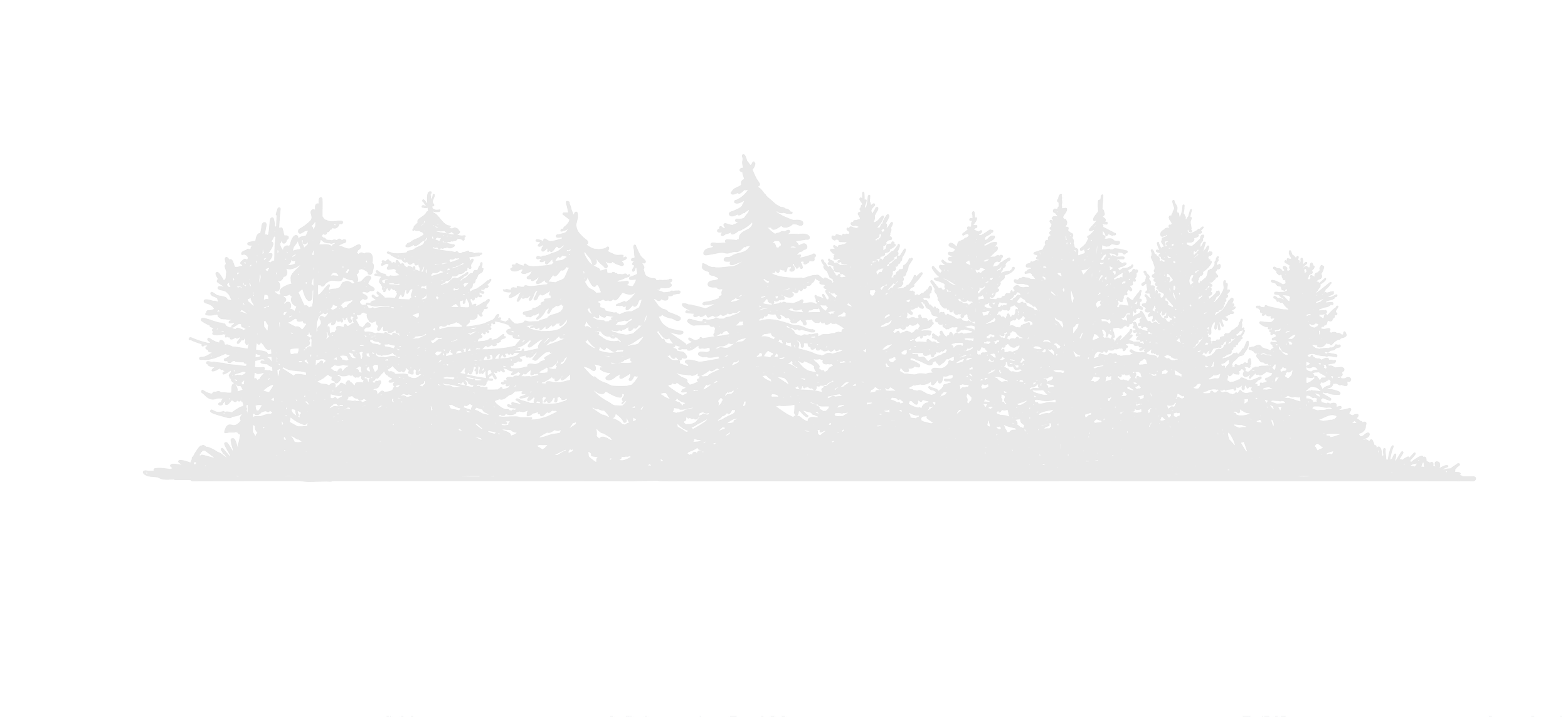 Silhouette of pine trees on a hillside against a black background.