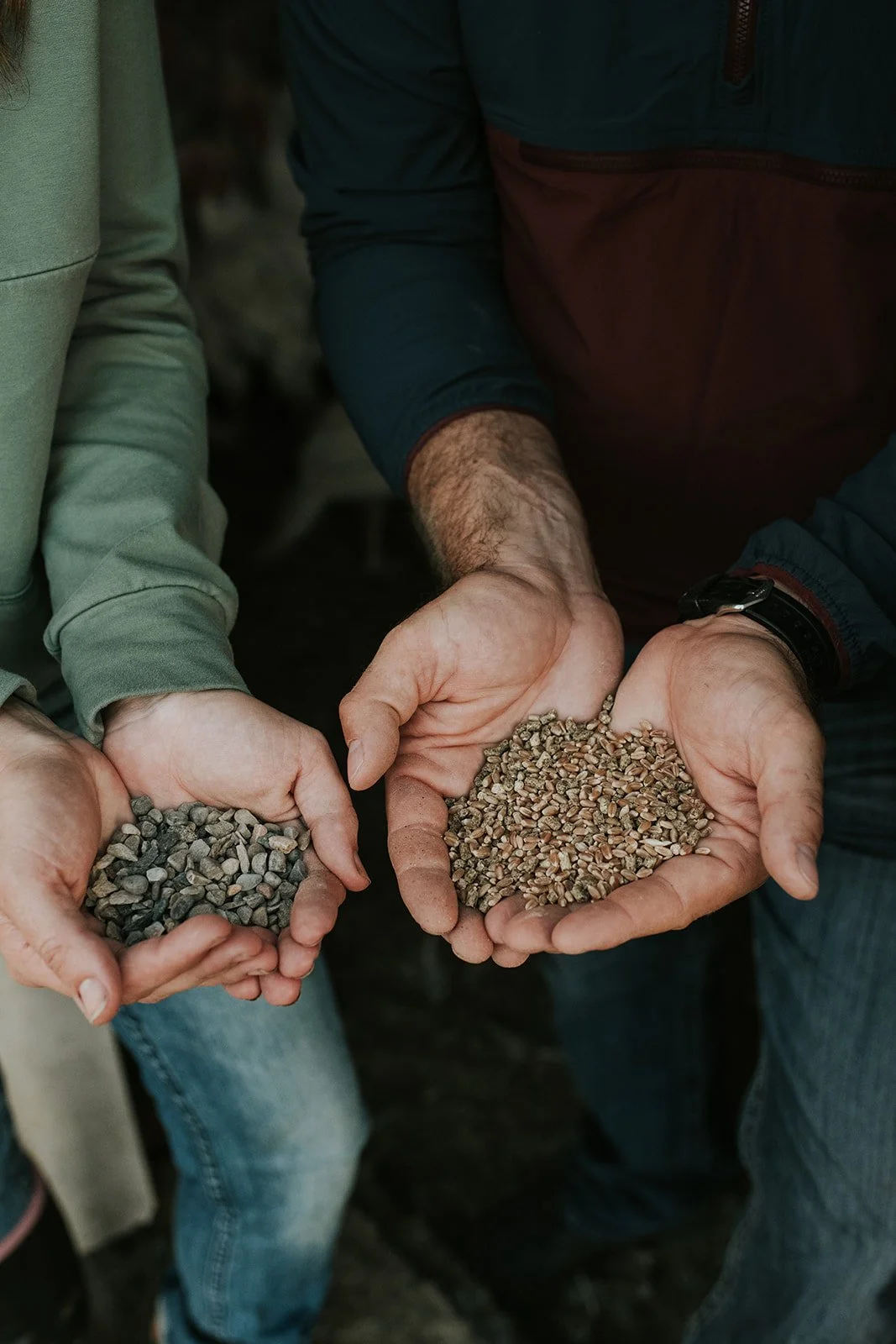 Two people holding small handfuls of different types of grains or seeds. The person on the left holds darker colored grains, while the person on the right holds lighter brown seeds.