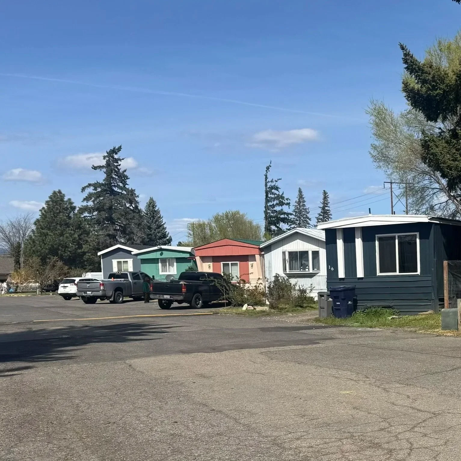View of a small residential area with colorful mobile homes, vehicles, and mature landscaping