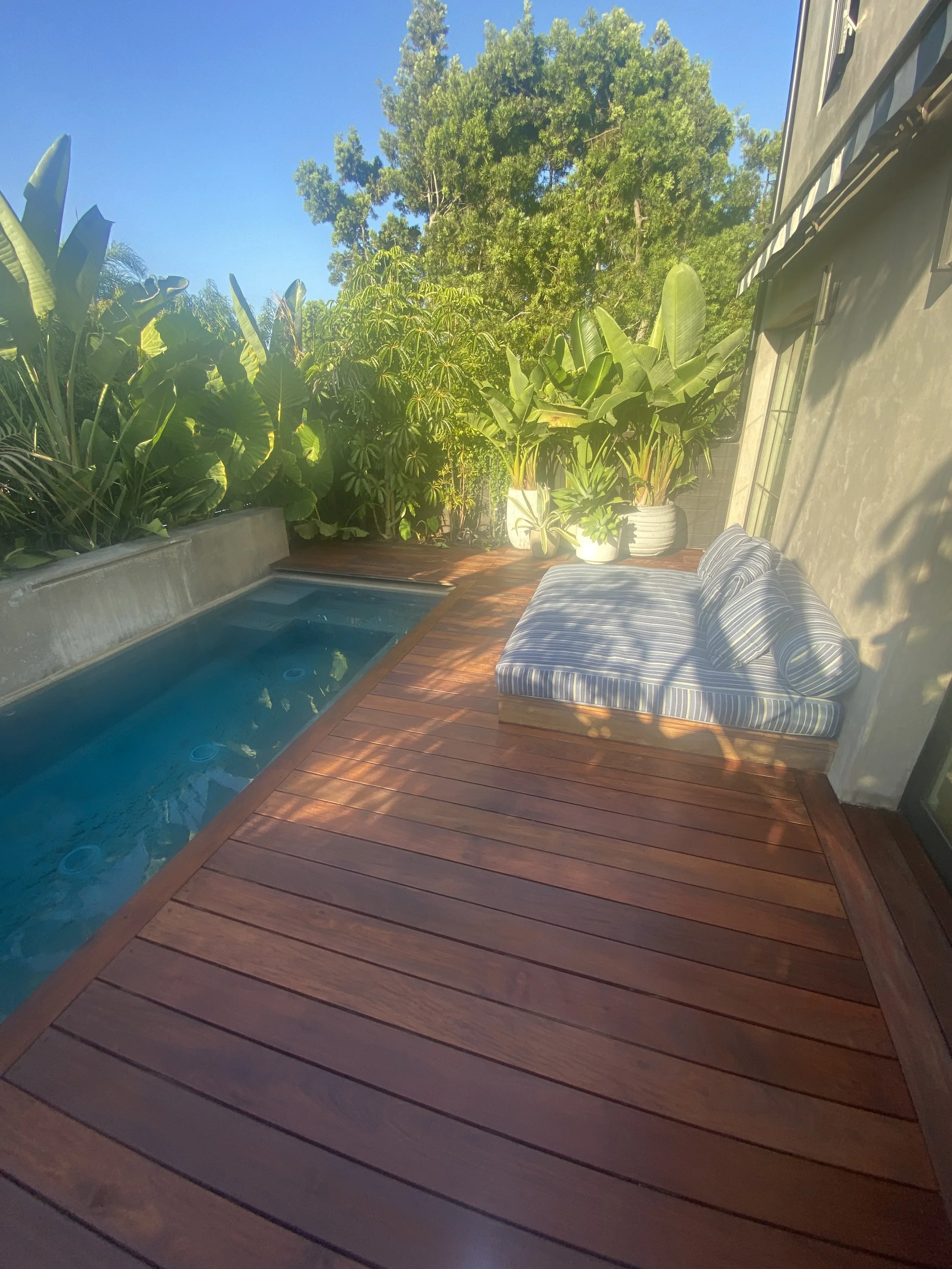 A cozy outdoor patio with a small swimming pool, a striped cushioned lounge chair, and lush green tropical plants in pots and along the fence, with a clear blue sky overhead.