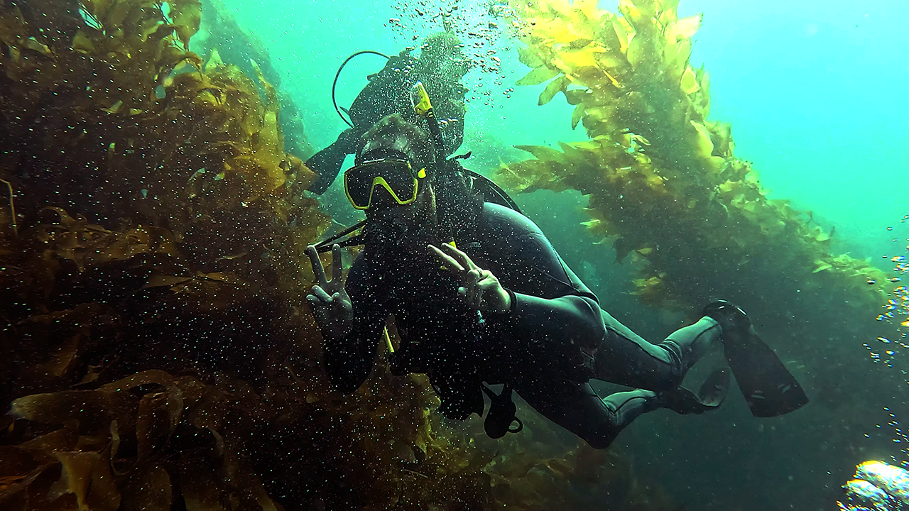 Diver.png