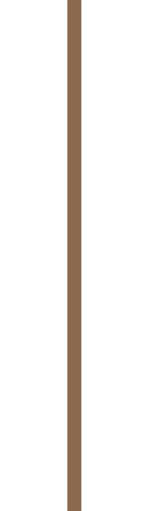 A close-up of a dark brown wooden stick or handle with a textured surface and a rounded top.