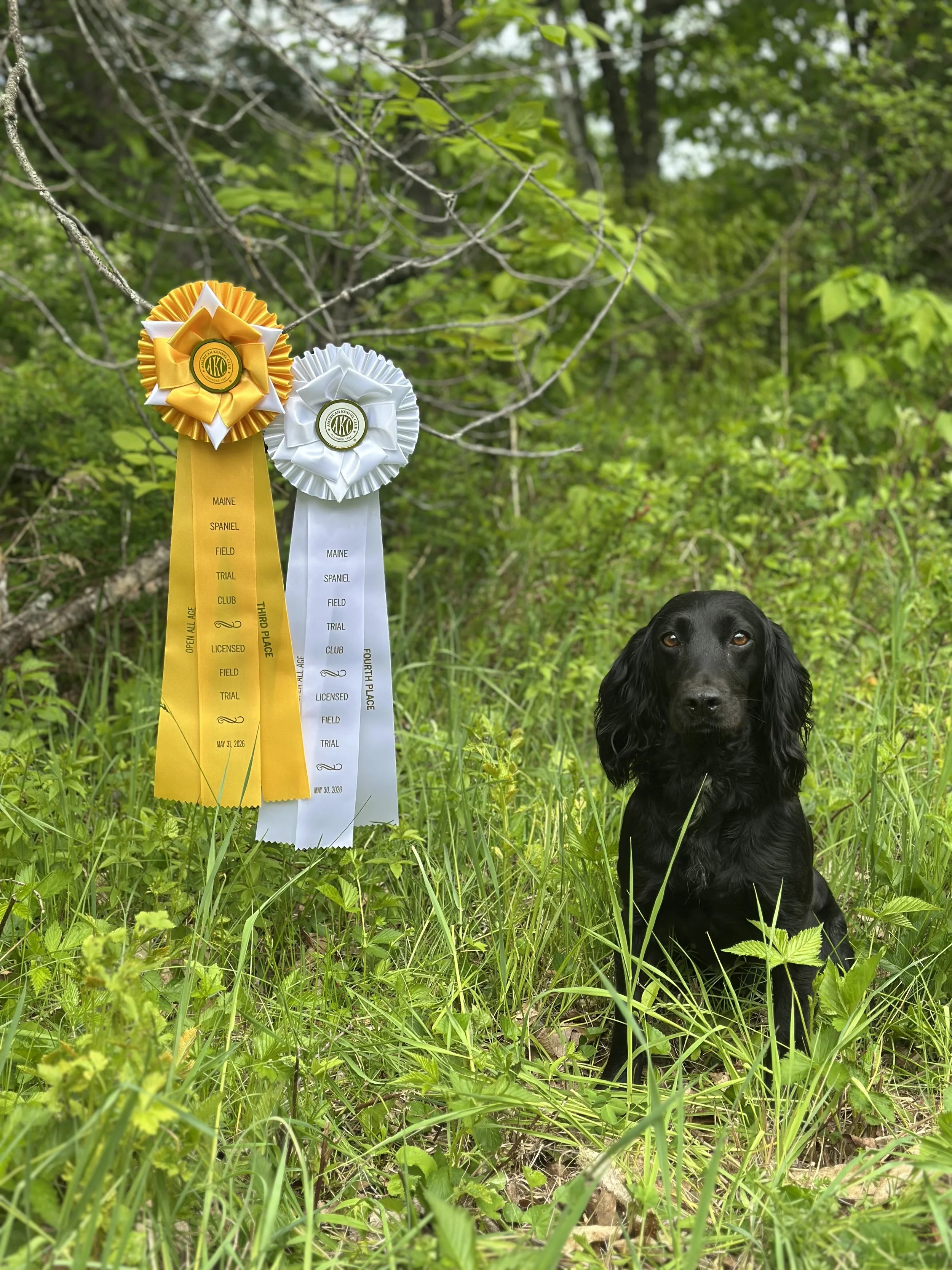 aggie_NH2026.jpg