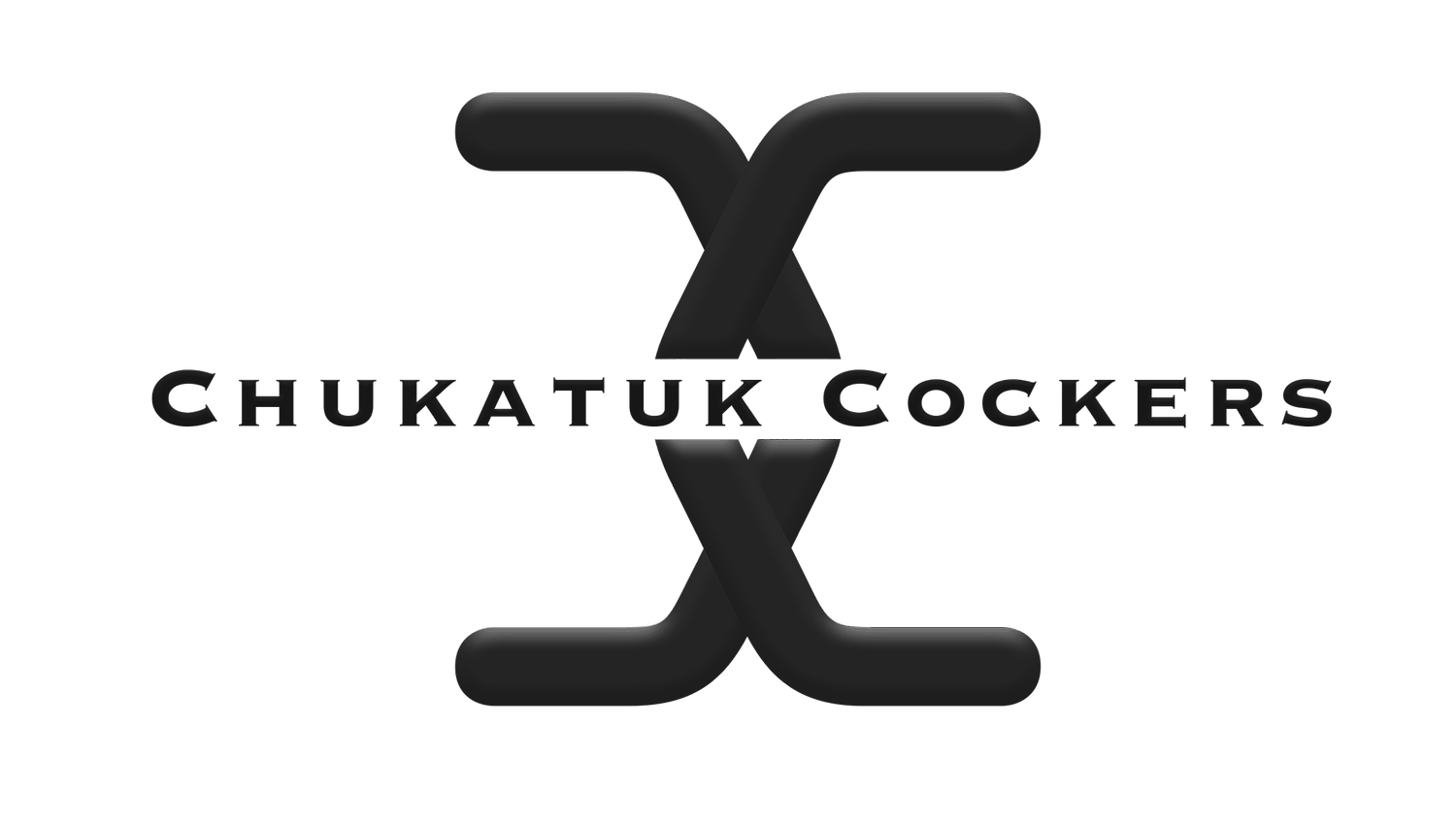 Chukatuk Cockers