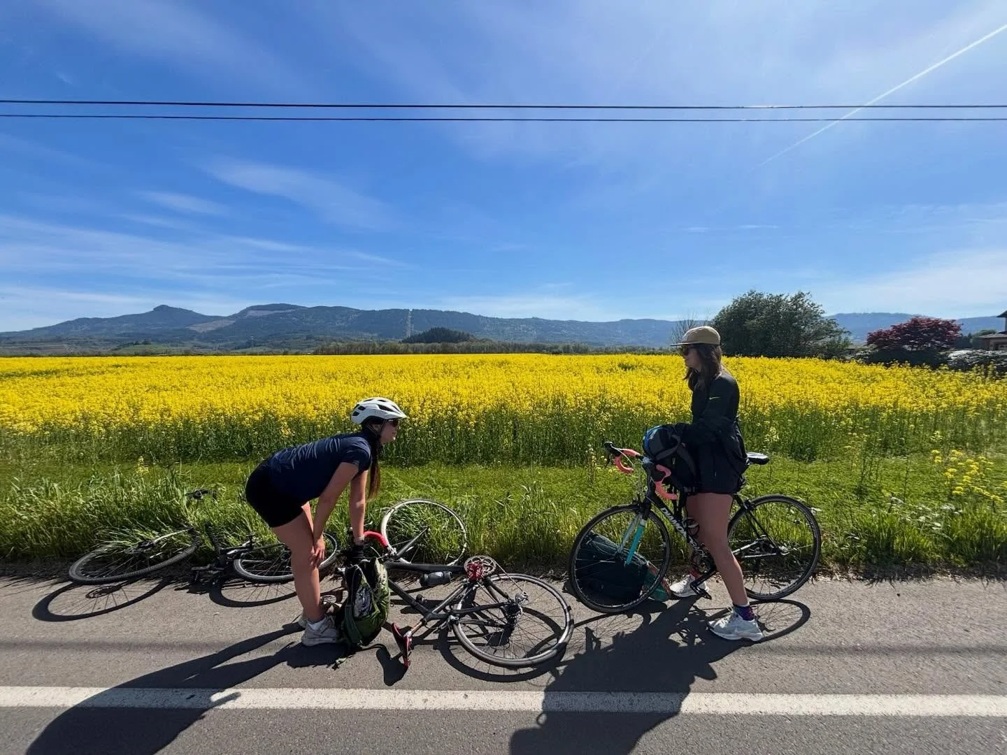 The ride of a century (literally!)